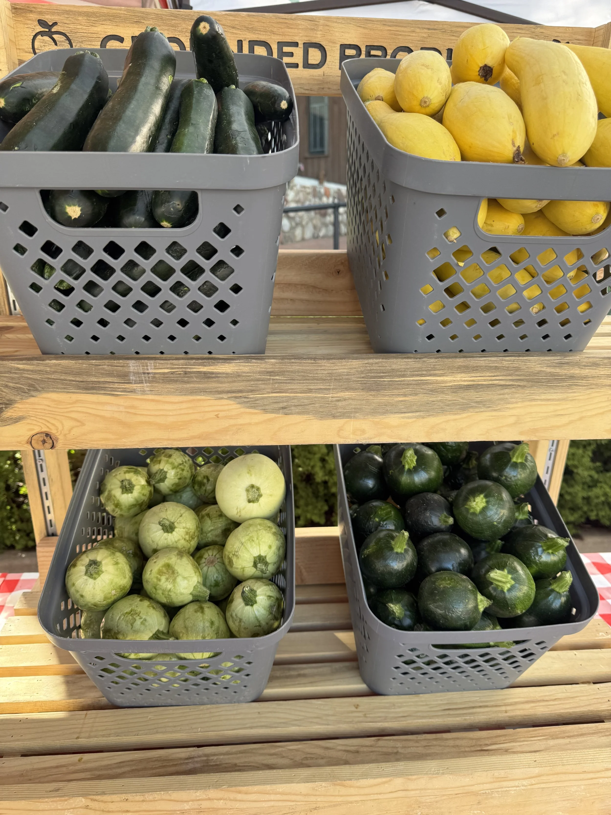Grounded Produce Four baskets of fresh vegetables on wooden shelves, including zucchinis, yellow summer squash, round green patty pan squash, and round green zucchini.