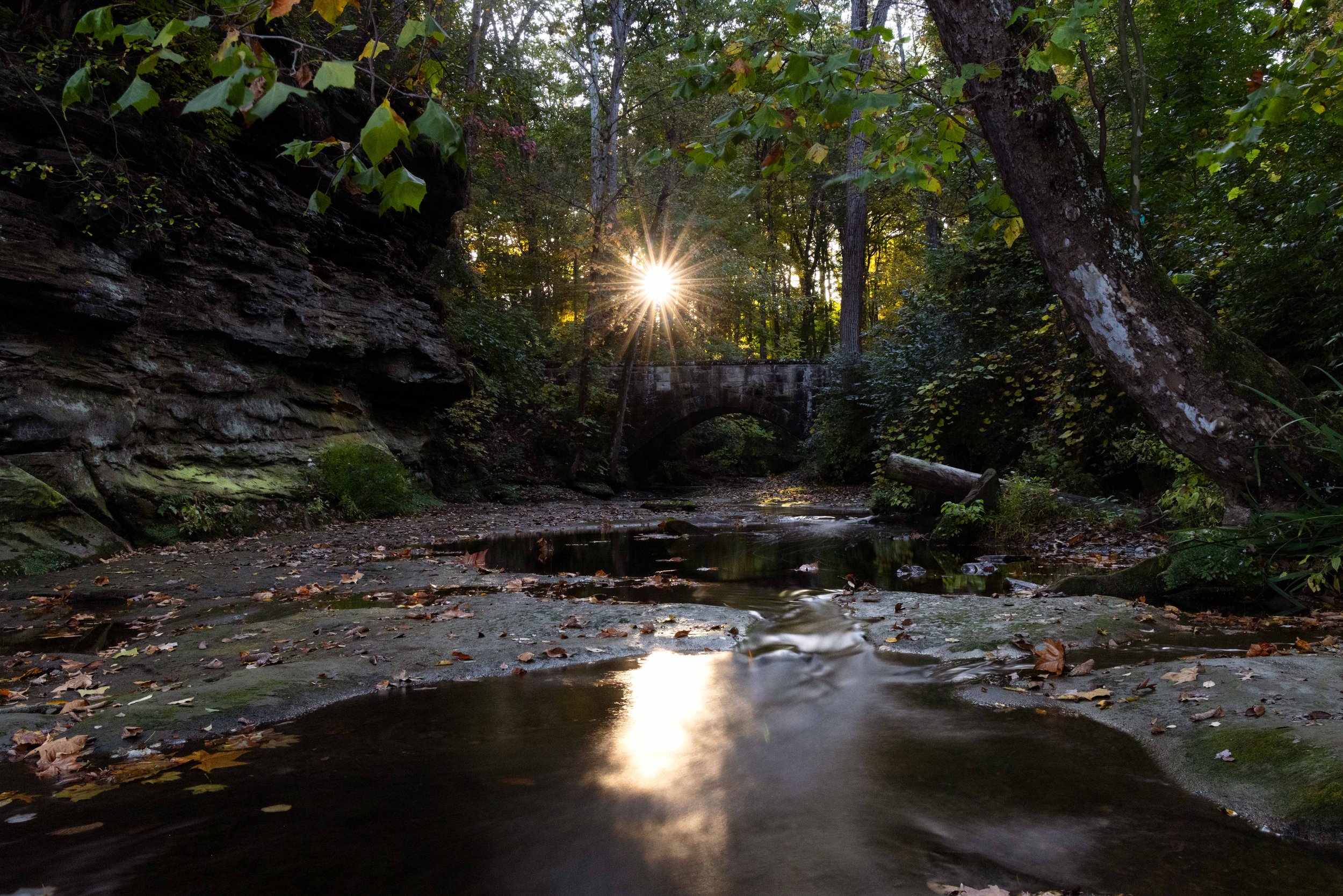 Creek Sunstar