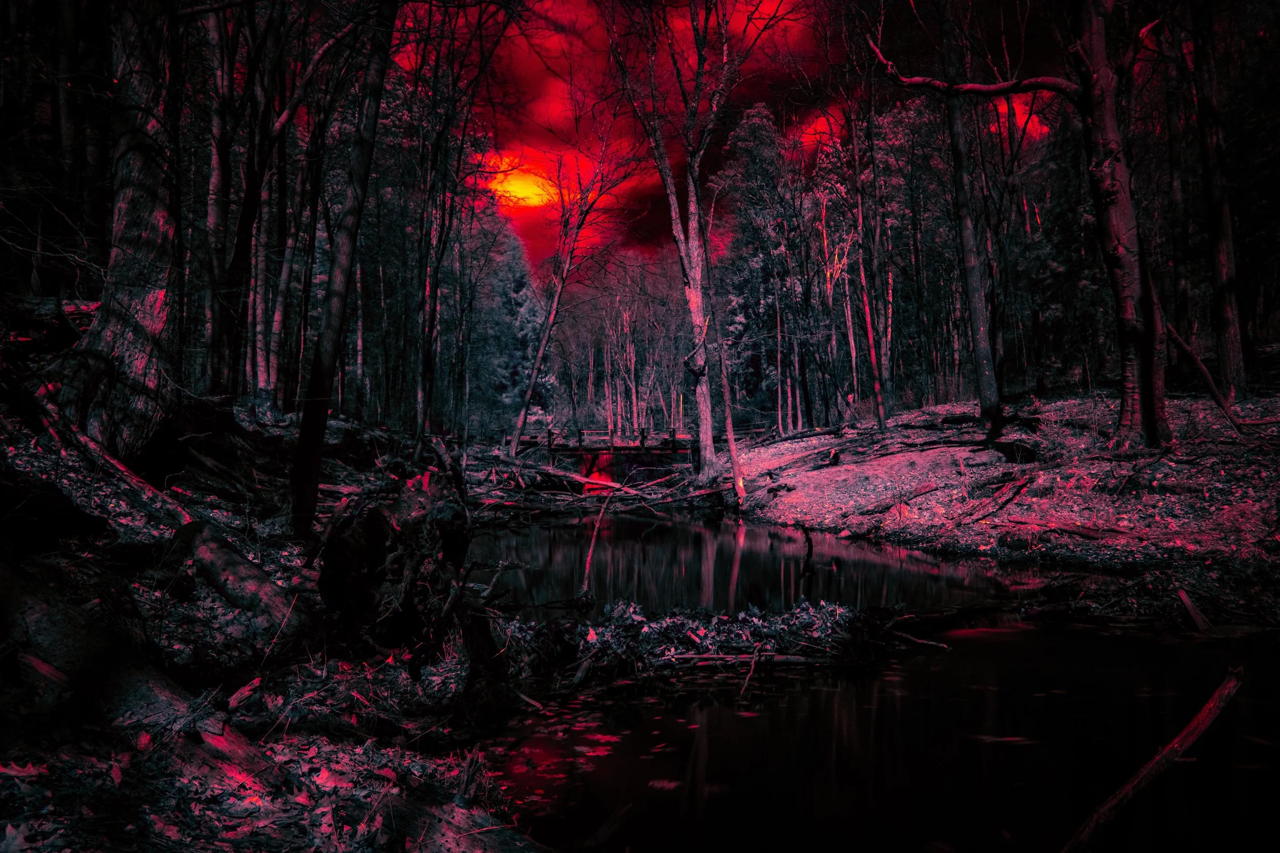 Infrared - Richfield Herritage Preserve Inlet Red Orange Teal-1.jpg