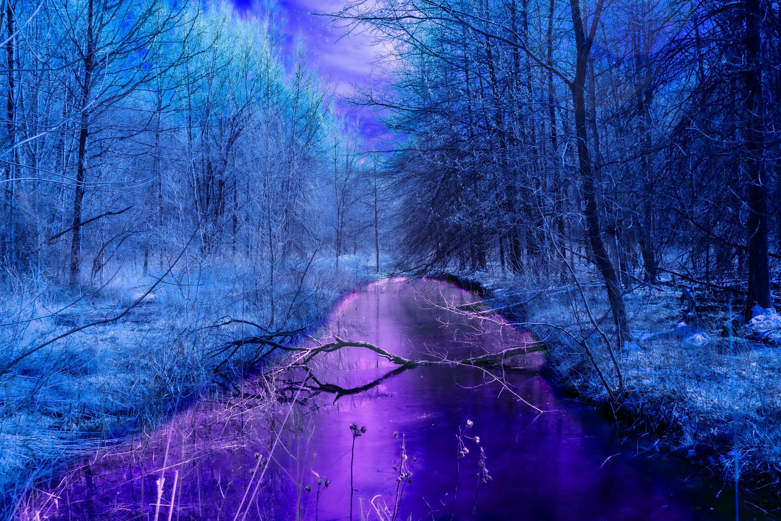 Infrared - West Creek Blue Duality-1.jpg