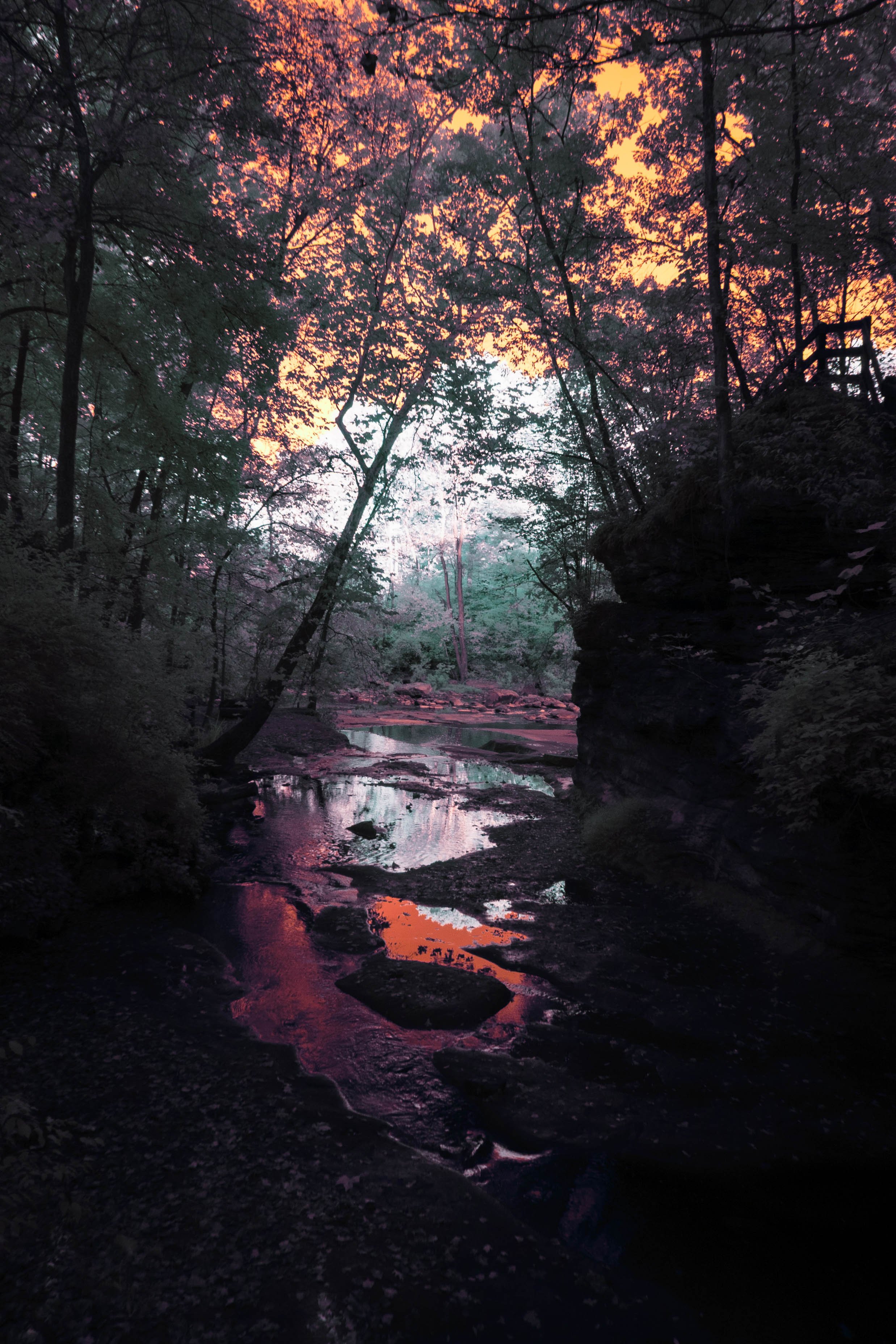 David Fortier Park Creek - Colorful Edit