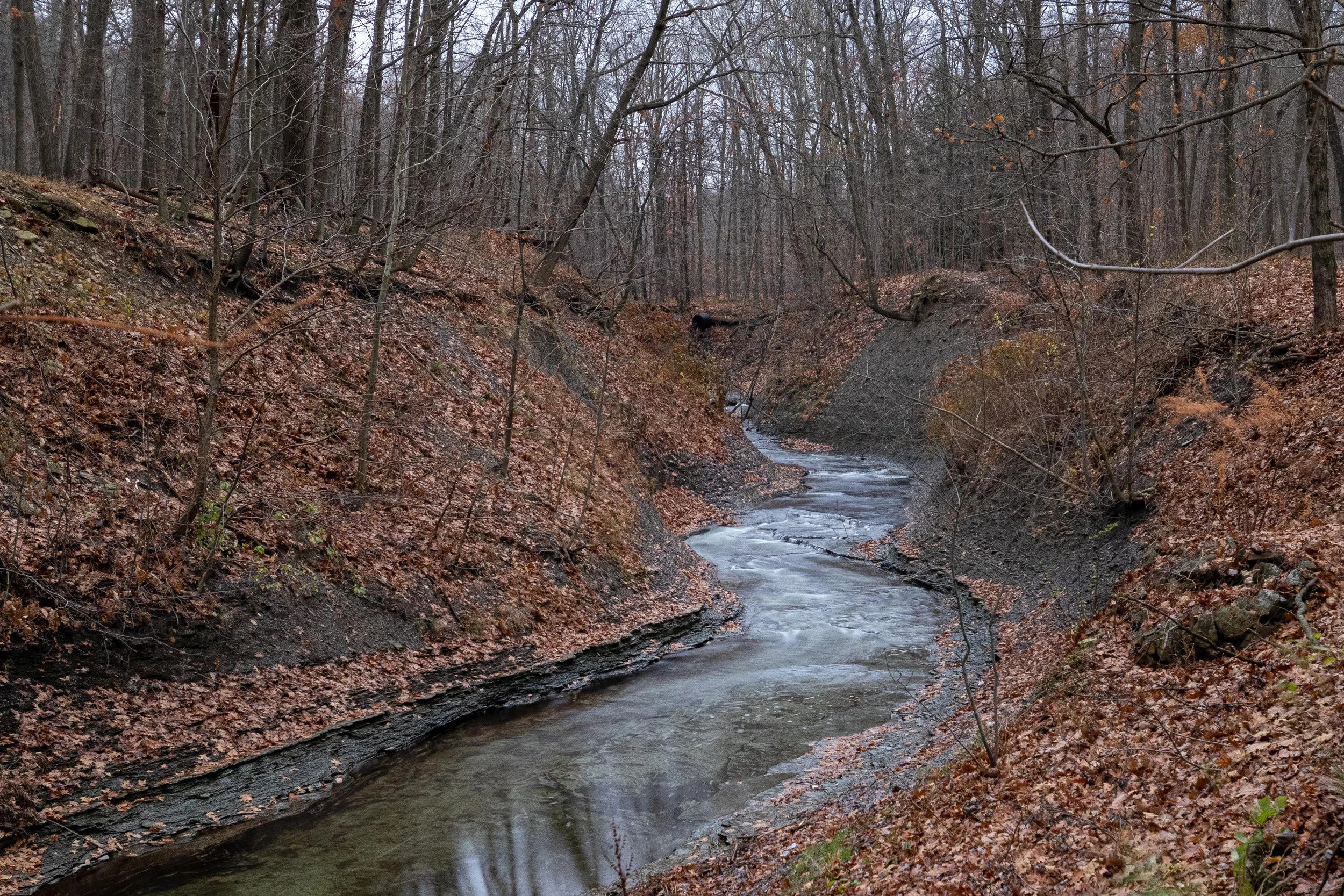 Winding Creek Long Exposure-1.jpg