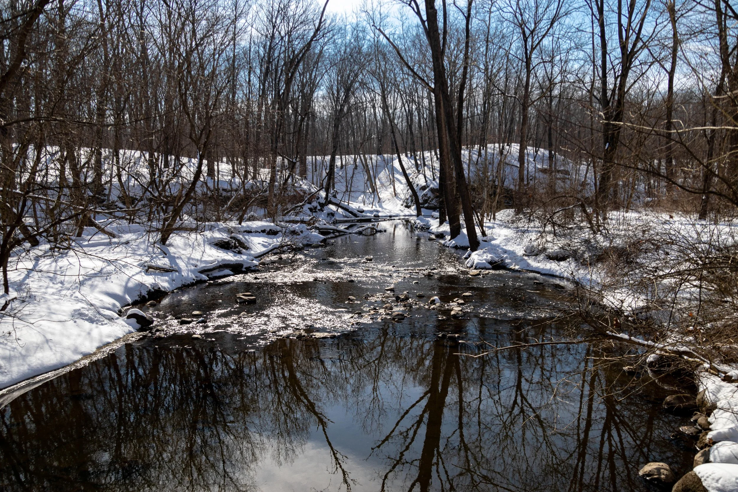 French Creek Winter Day-1.jpg