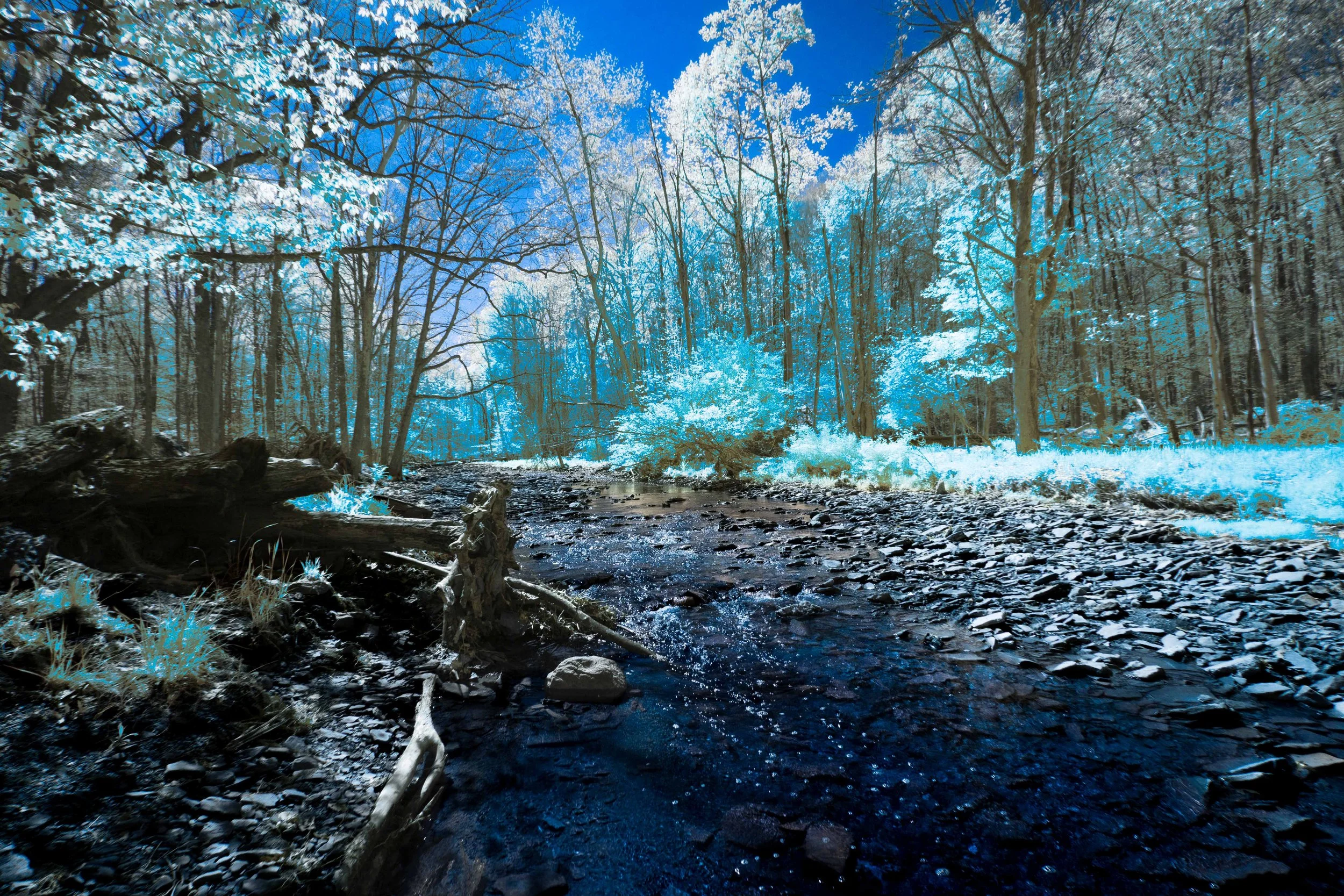 West Creek Blue Edit