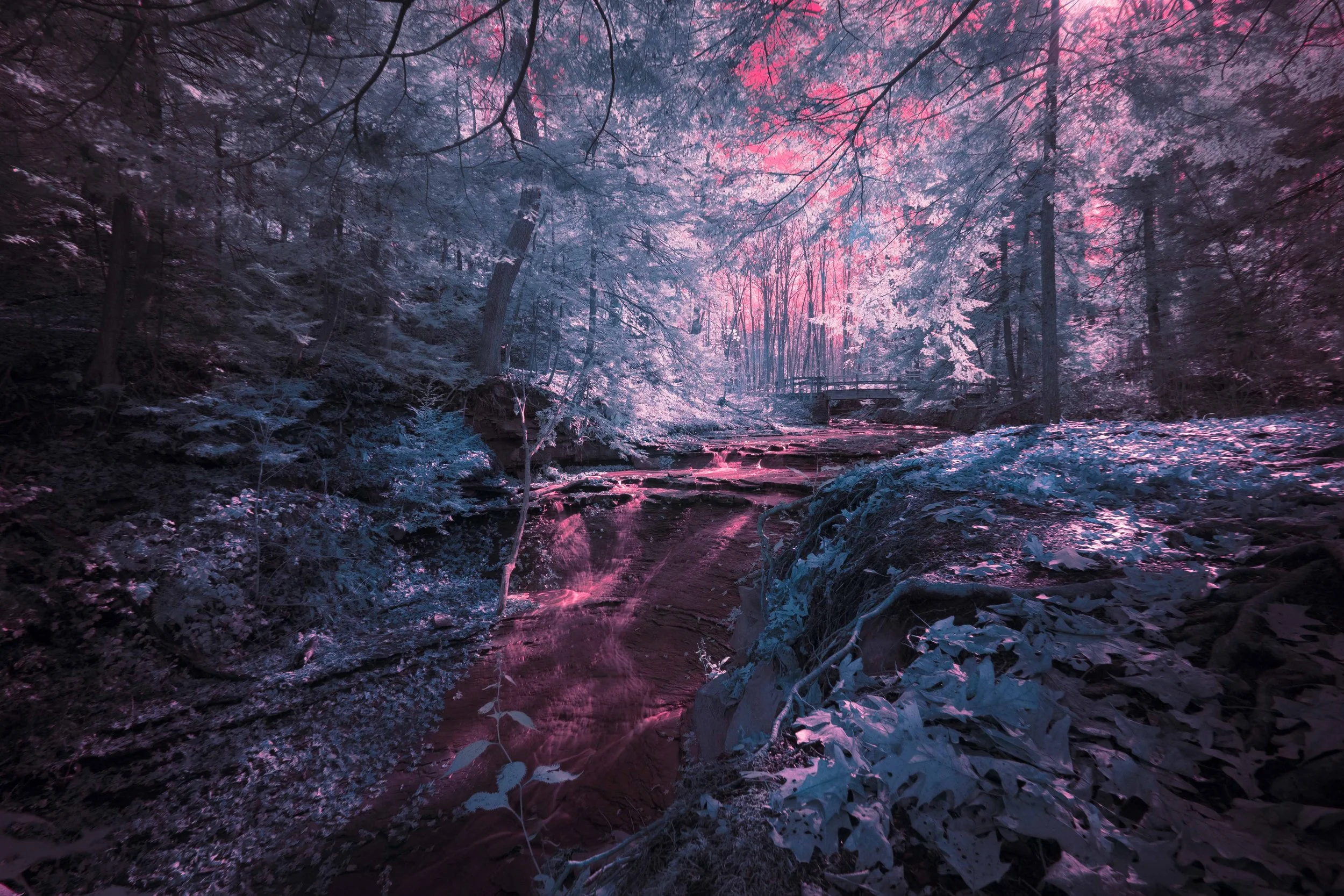 Bridal Veil Falls - Teal and Fuscia