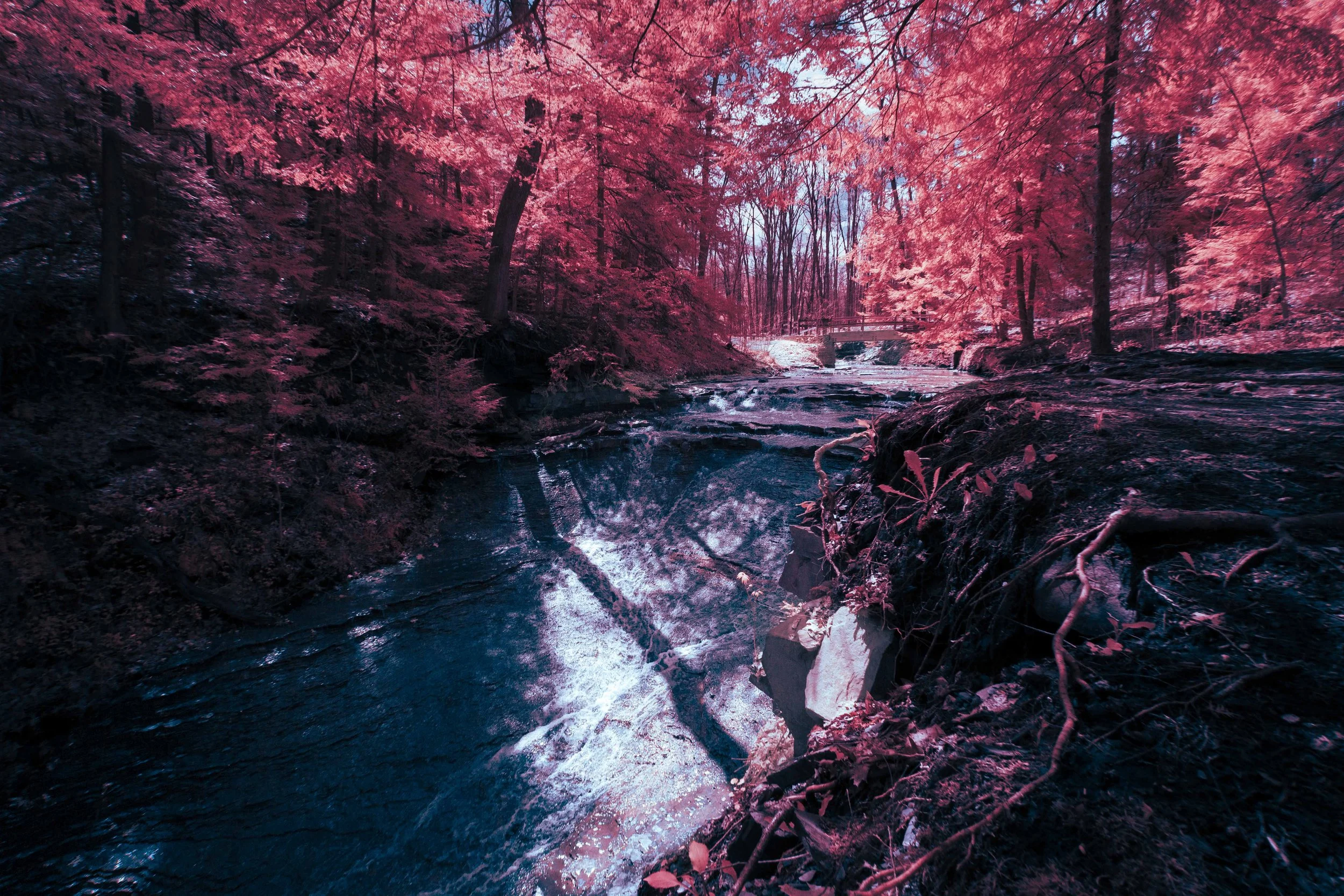 Infrared - Bridal Veil Falls - Red Foliage Blue Water-1.jpg