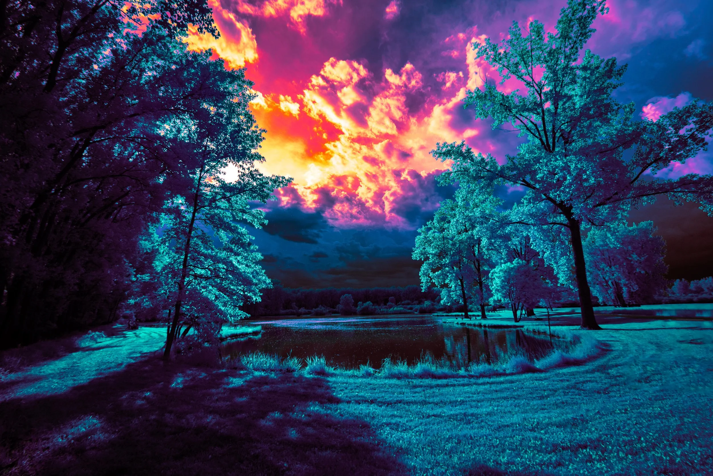 Infrared - Maumee Bay Pond Kaleidoscope-1.jpg
