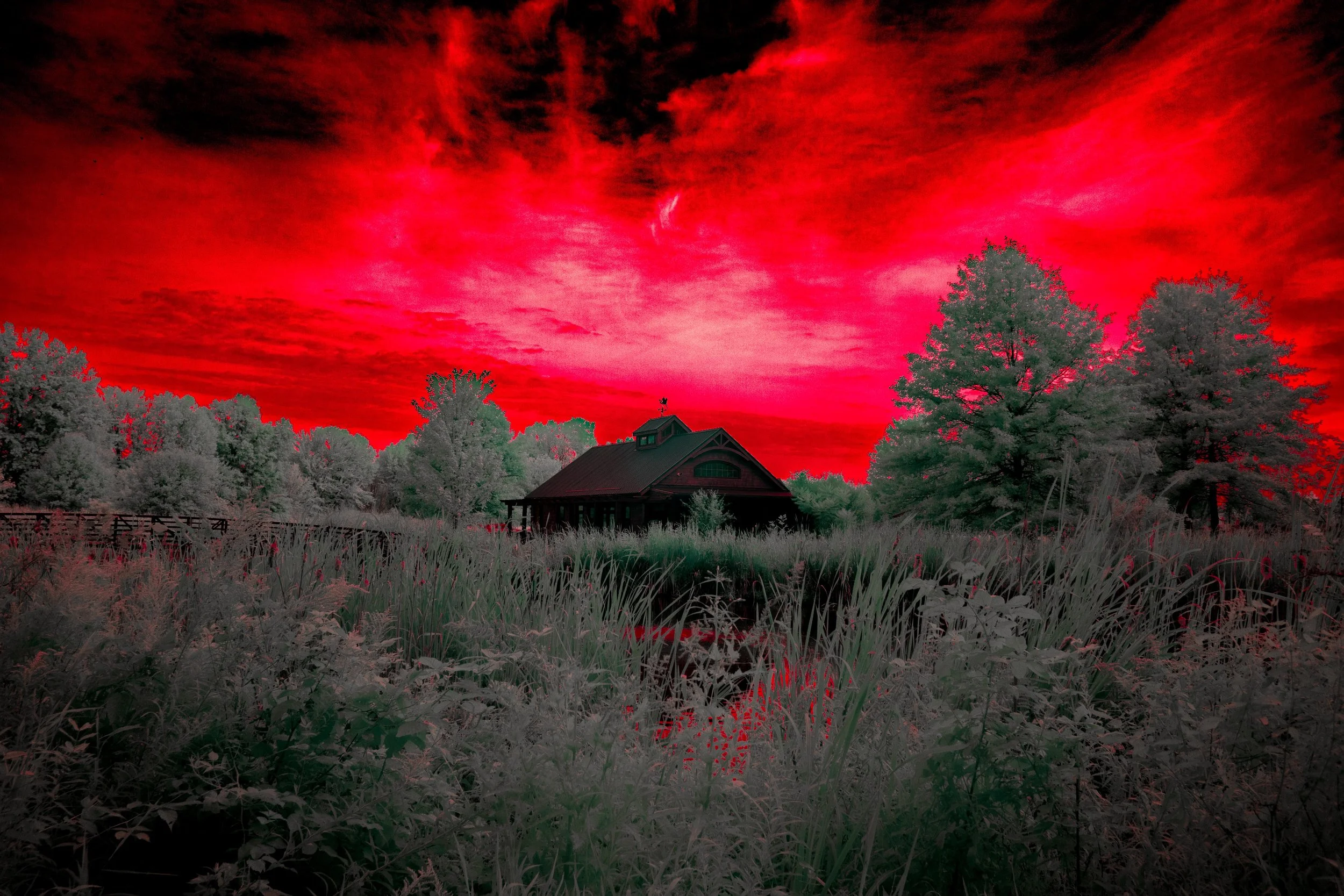 Infrared - Sandy Ridge Building Hellscape-1.jpg