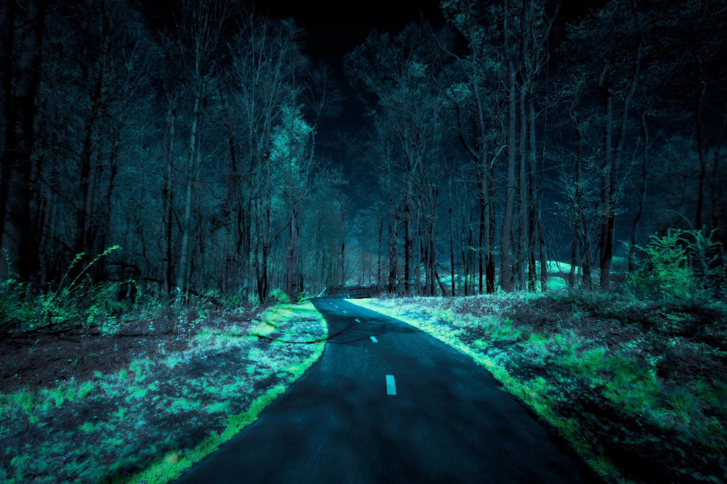 Infrared - Lake to Lake Glow in the Dark-1.jpg