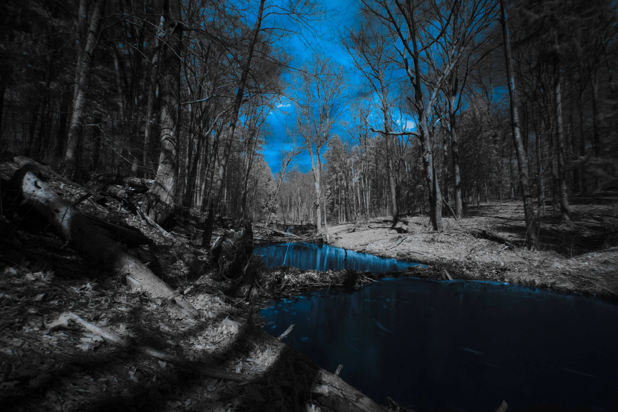 Richfield Heritage Preserve - Blue Creek and Sky