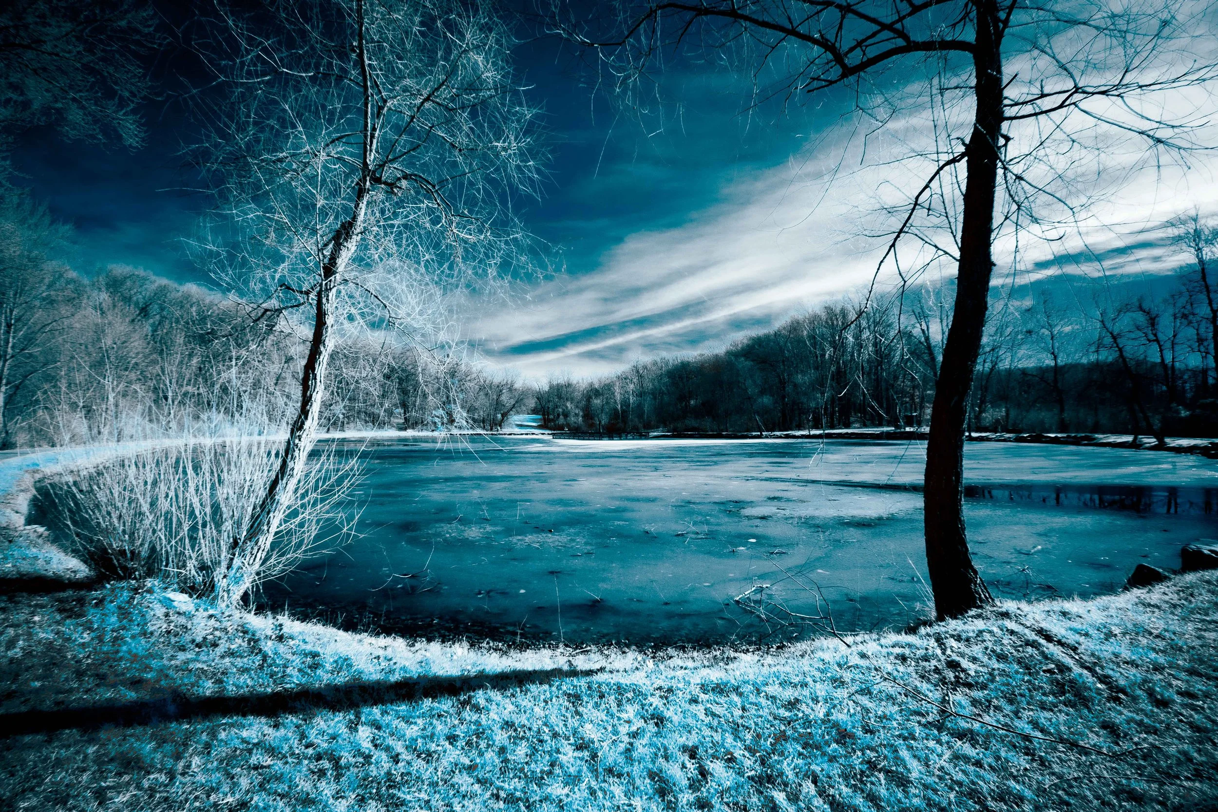 Infrared - Turtle Pond - Winter Wonderland.jpg