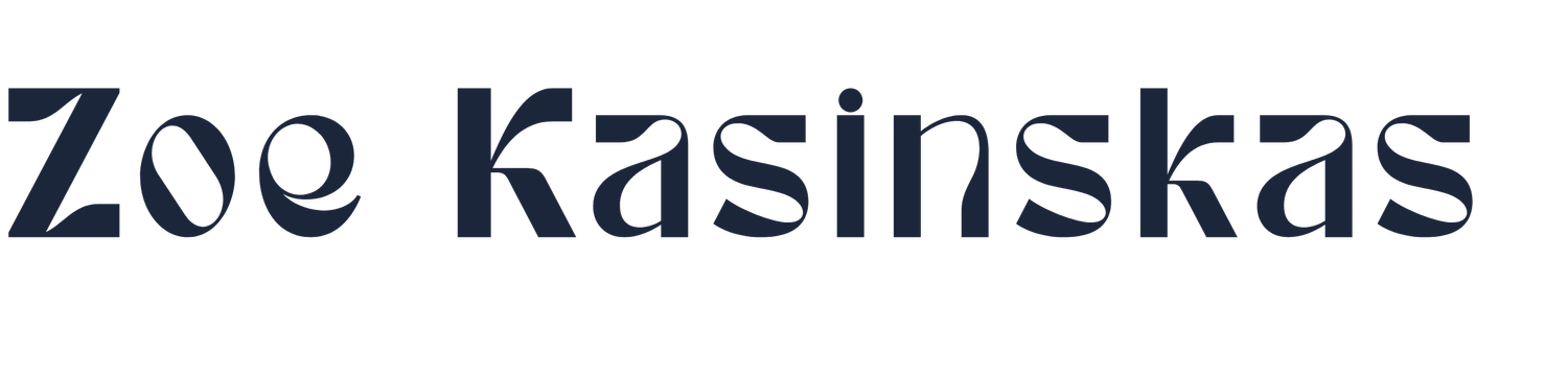 Professional Marketing Portfolio | Zoe Kasinskas