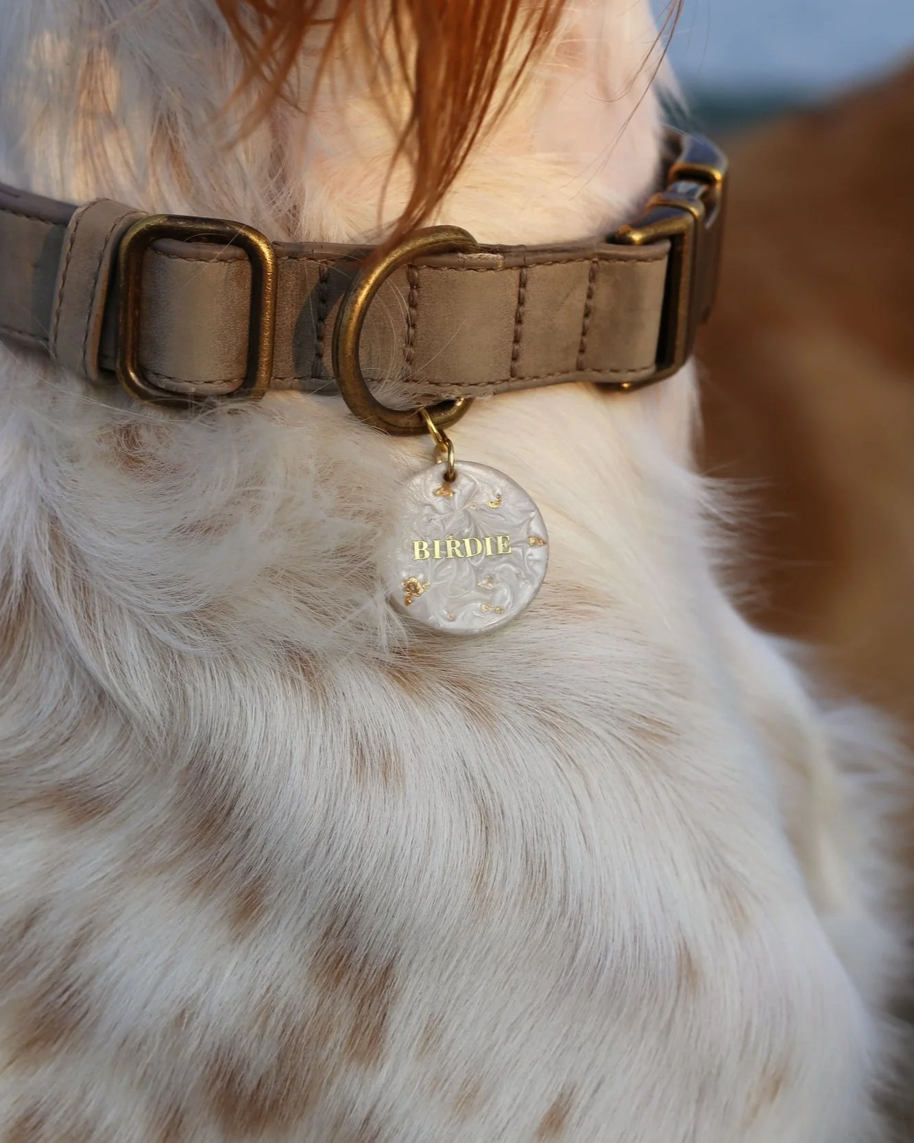 Moon Shell Resin Pet Tag