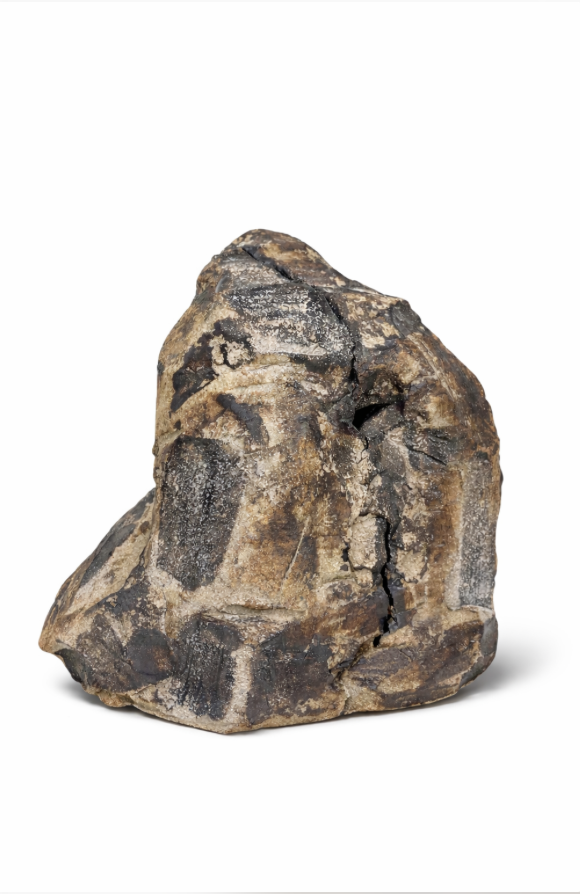 Spalled Rock - 2025.png