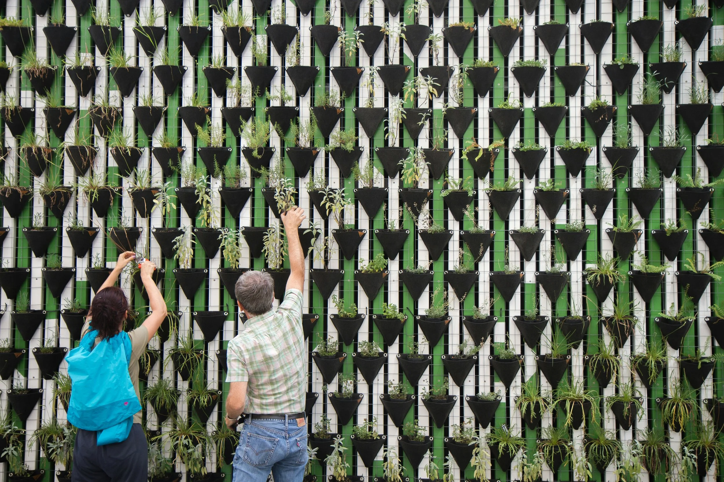 Two people, a man and a woman, are tending to a vertical garden wall with black pots arranged in a grid pattern. The wall has green and white vertical elements behind the pots, and the plants vary in size and type.