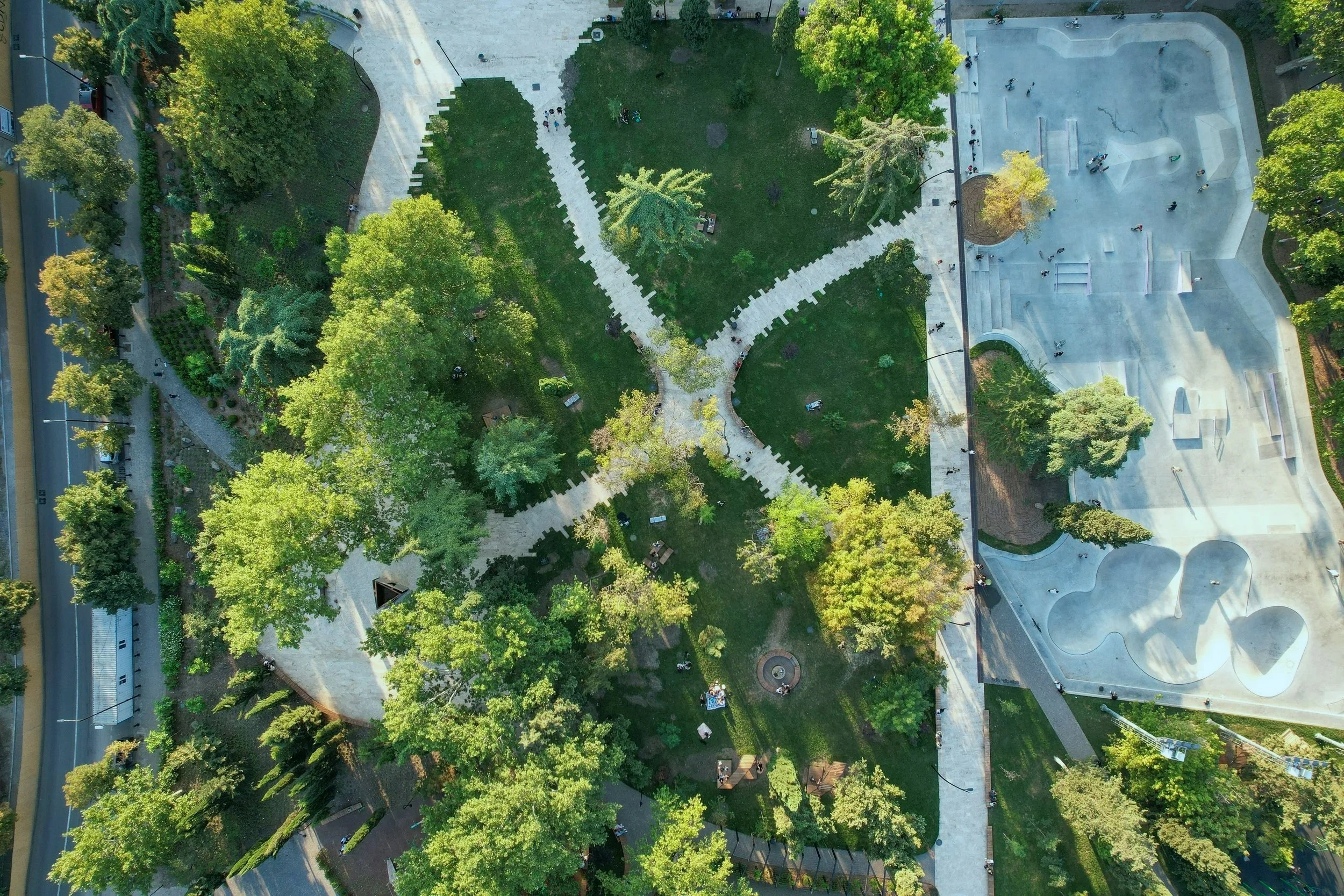 An aerial view of a park with walking paths, green trees, and a skate park with concrete ramps and bowls.