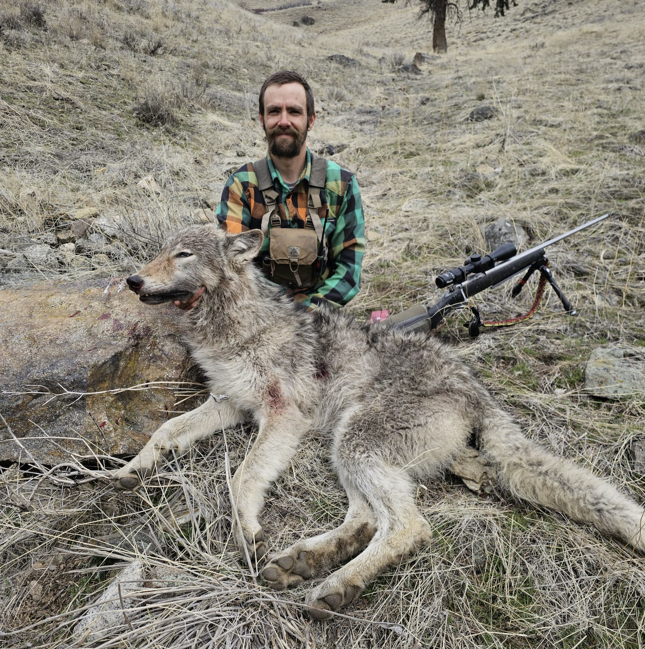 Screenshot 2026-04-26 at 11.58.14 AM.png