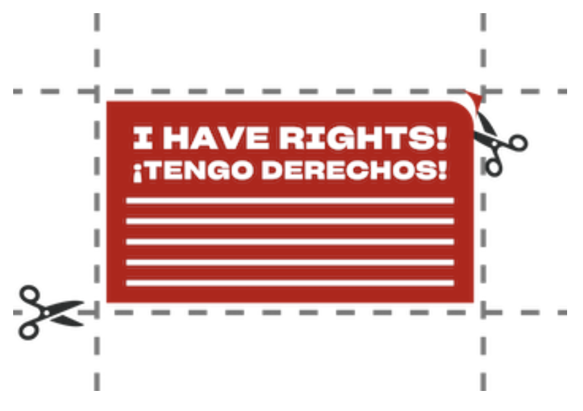 Constitutional Rights Card