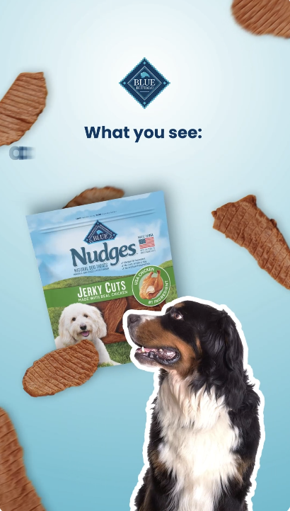 Screenshot 2025-10-17 at 8.08.18 AM.png