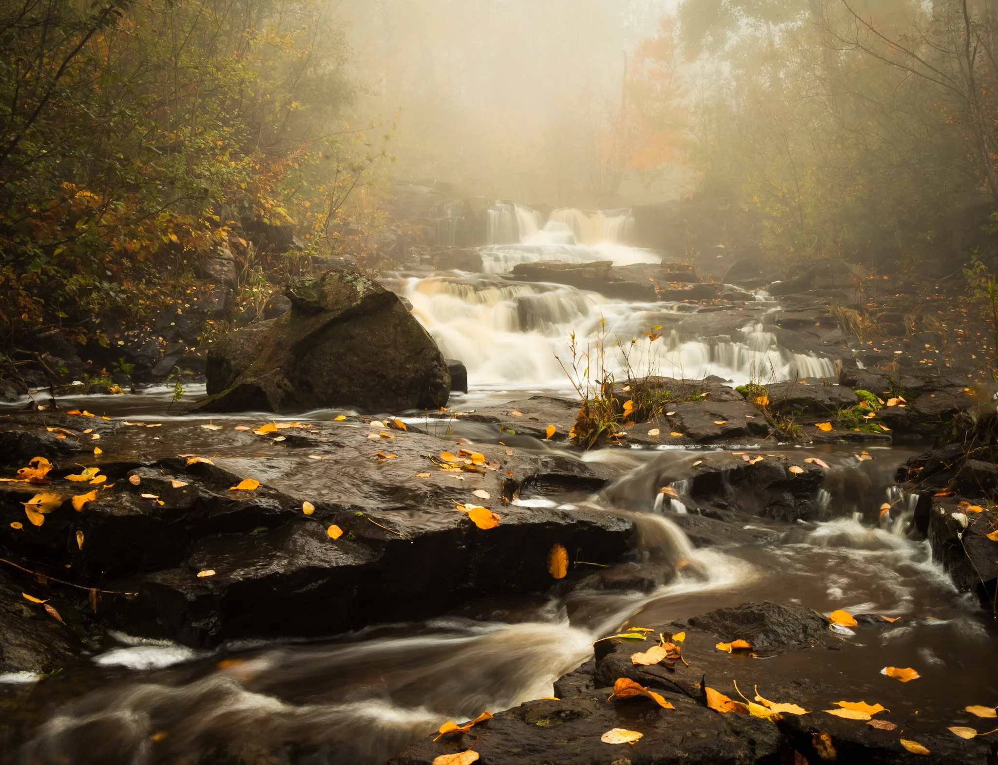 Fall is definitely my favorite season in the northland. The cooler temperatures and amazing fall colors all come together in this picture to show just what I love about the fall.