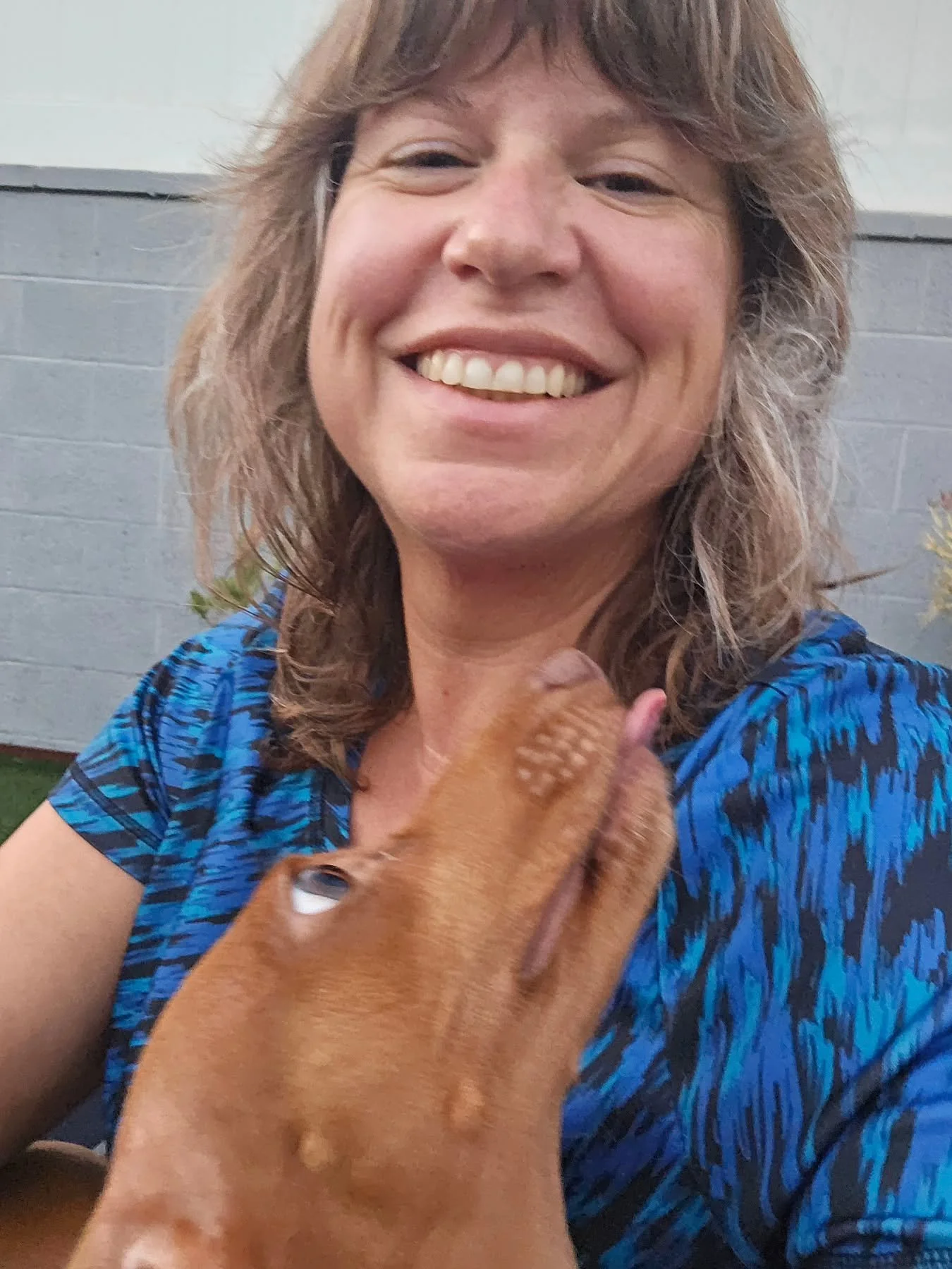 At our heart, we share a passion for kisses, just like our wonderful clients! Meet Sophia, the delightful dachshund who brings joy with her goofy charm and loving nature. Her favorite time? Cuddles that lead to mealtime!

As you take this much-needed
