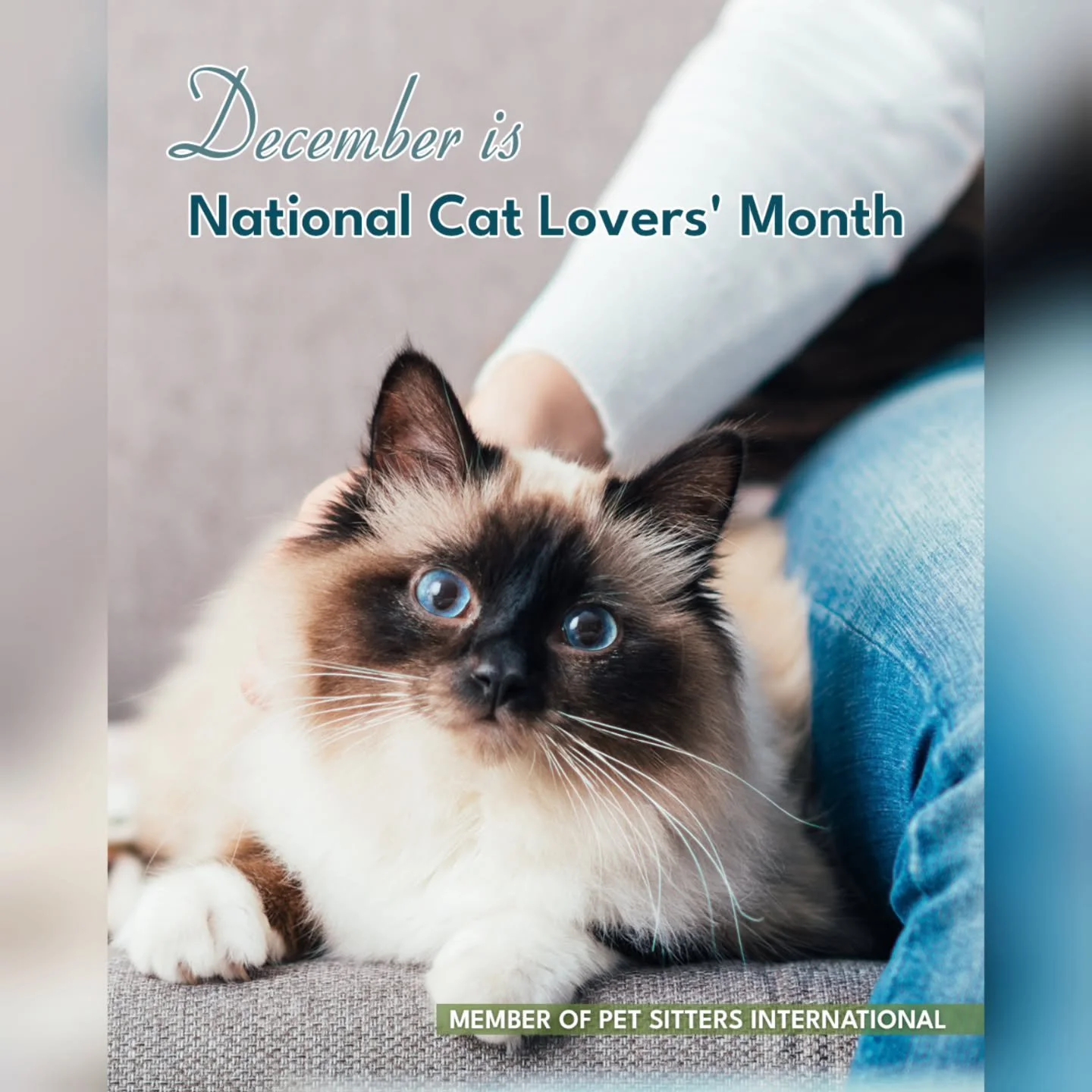 Even if you plan to &ldquo;leave extra food and water,&rdquo; your cat still needs a daily check-in. 🐾

At Bootsy&rsquo;s Buddies, we follow PSI&rsquo;s Global Standards for Professional Pet-Sitting &amp; Dog-Walking Businesses, which require a mini