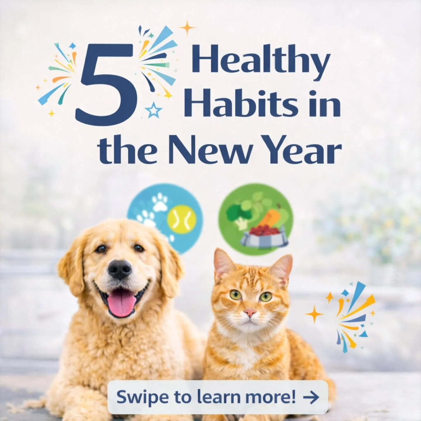 Five healthy habits that can make a huge difference for your pet. 

#LongBeachCA #LongBeachPets #LongBeachDog #PetSitterLife #SoCalPets