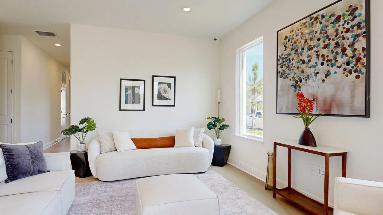 Modern Transitional + Lifestyle