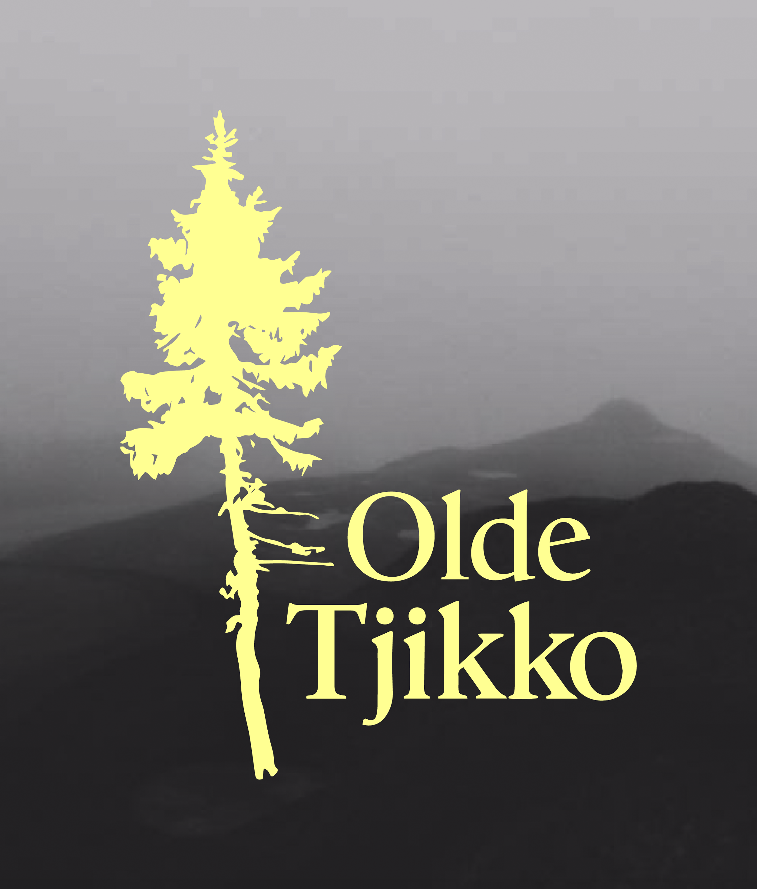 Olde-Tjikko_First-Pic-02.png