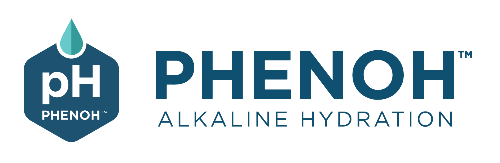 phenoh_logo_navy_type.png