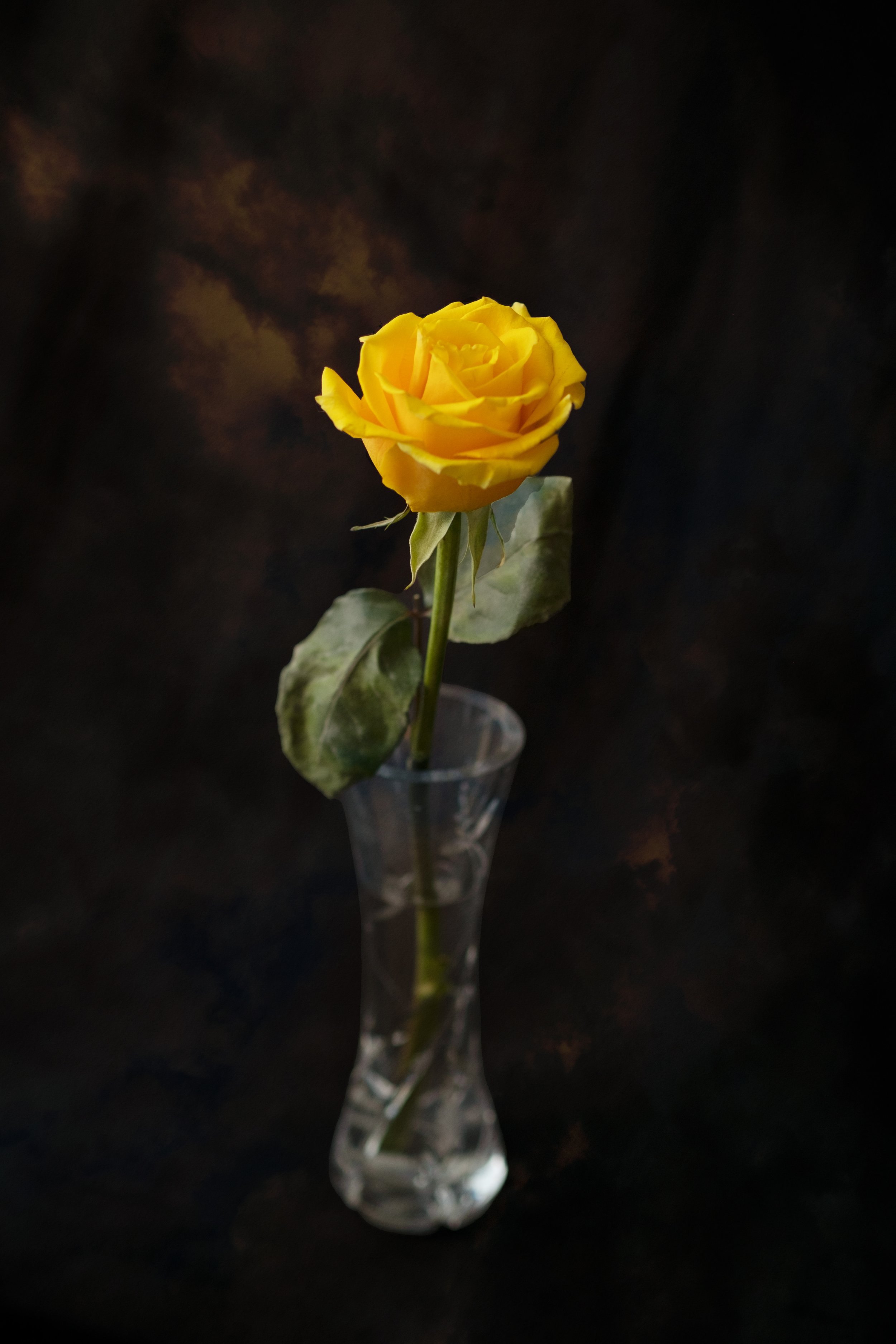 DSCF2360 v2.jpg