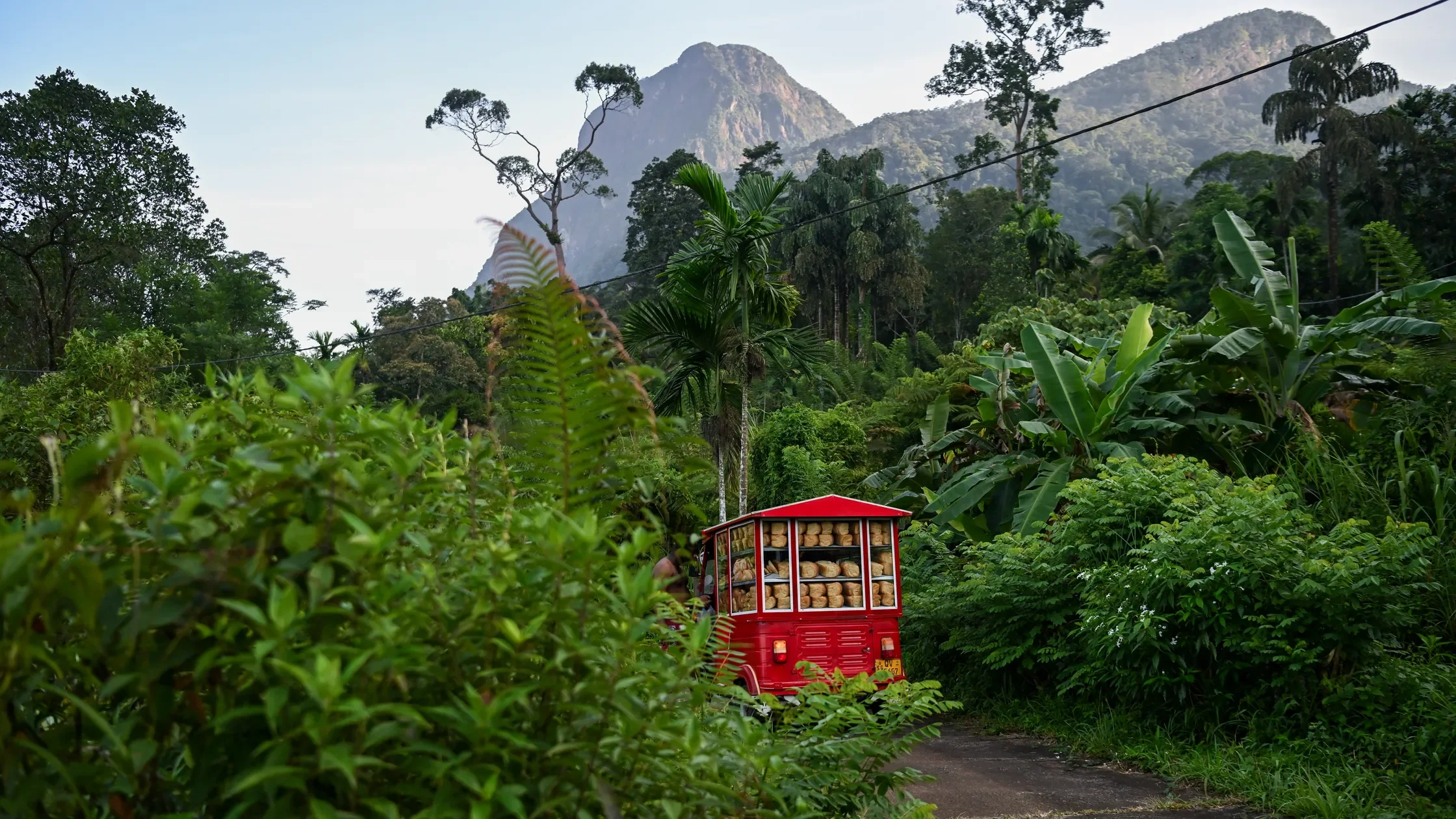 Bread Choon Pan Vans_DSC_8003.webp