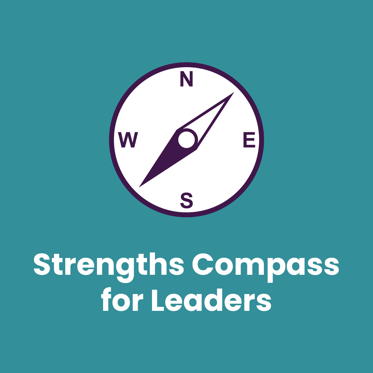 strengths-compass-for-leaders.png