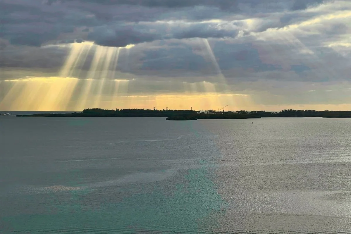 Insight Isn’t the Whole Story: What Sustainable Change Really Asks Of Us