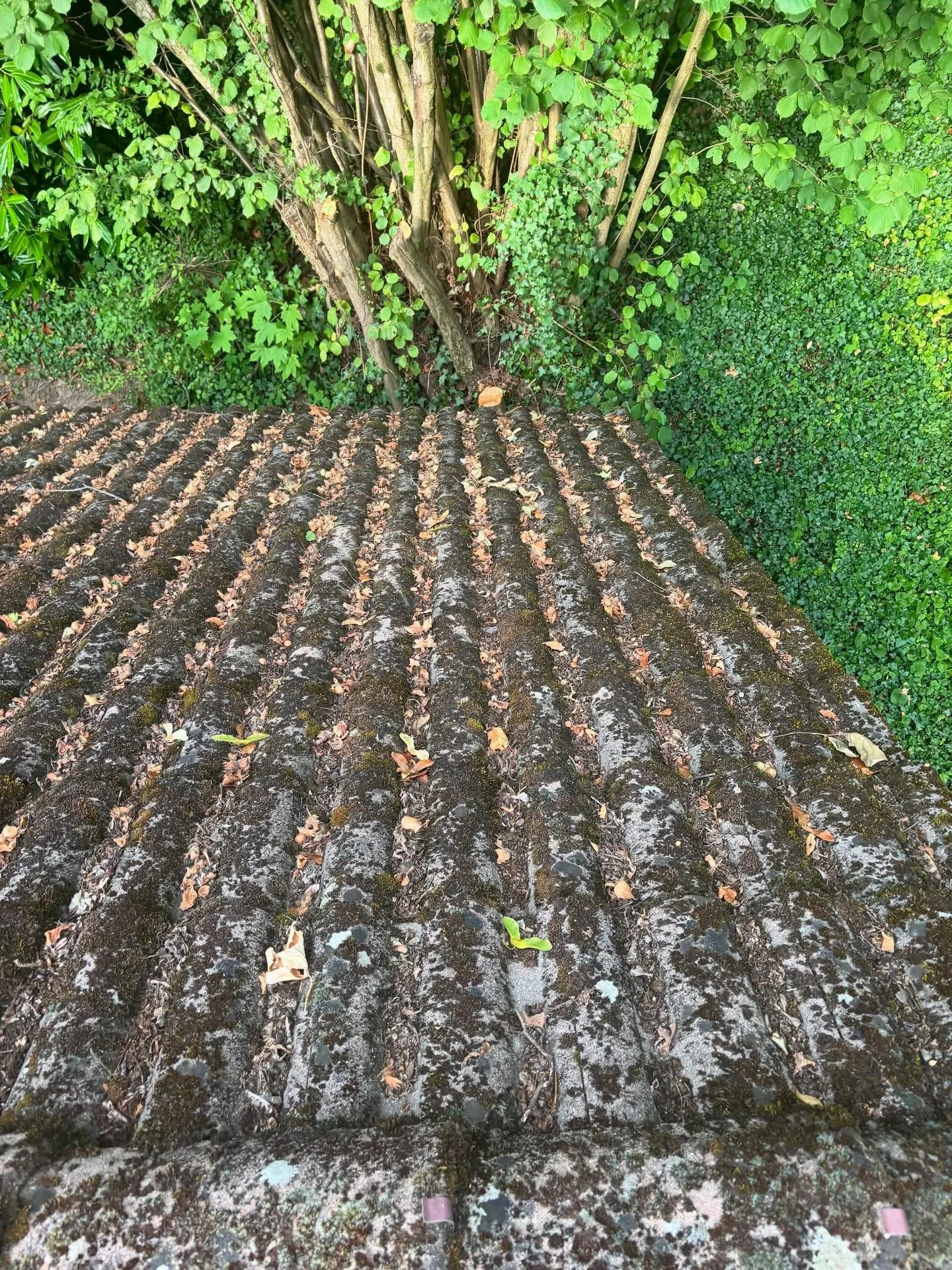 Nettoyage et d&eacute;moussage complet de la toiture et du garage 🏠💦
R&eacute;sultat : un toit propre, prot&eacute;g&eacute; et pr&ecirc;t &agrave; affronter les saisons.
#D&eacute;moussageToiture #EntretienMaison #TravailDeQualit&eacute;