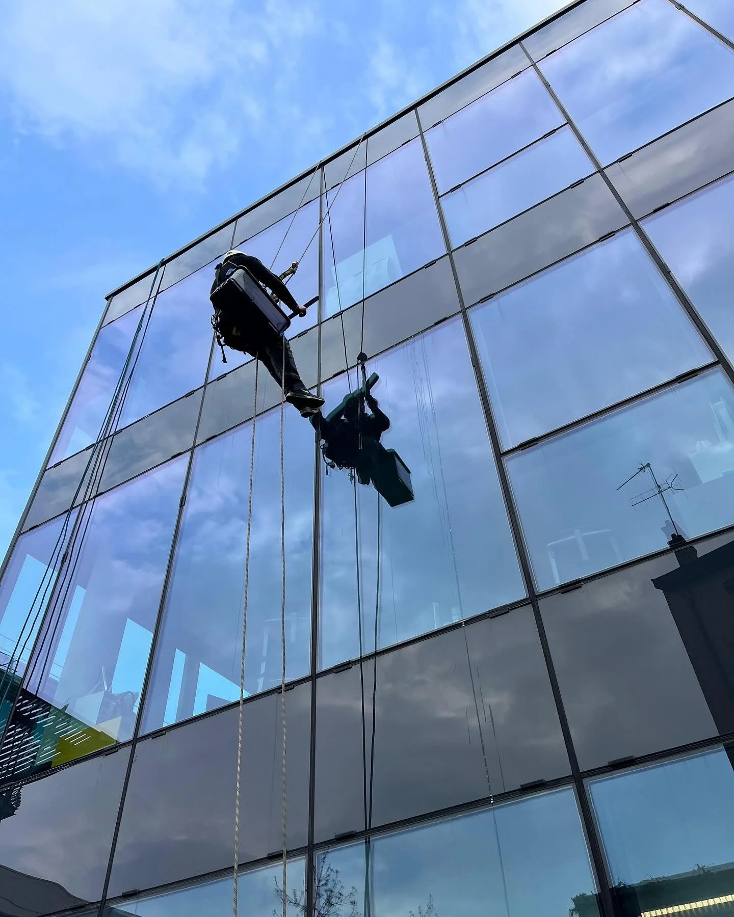 Intervention de nettoyage des vitres &mdash; efficacit&eacute;, s&eacute;curit&eacute; et transparence garanties.&rdquo;
#TravailEnHauteur #NettoyageVitres #S&eacute;curit&eacute;AvantTout
