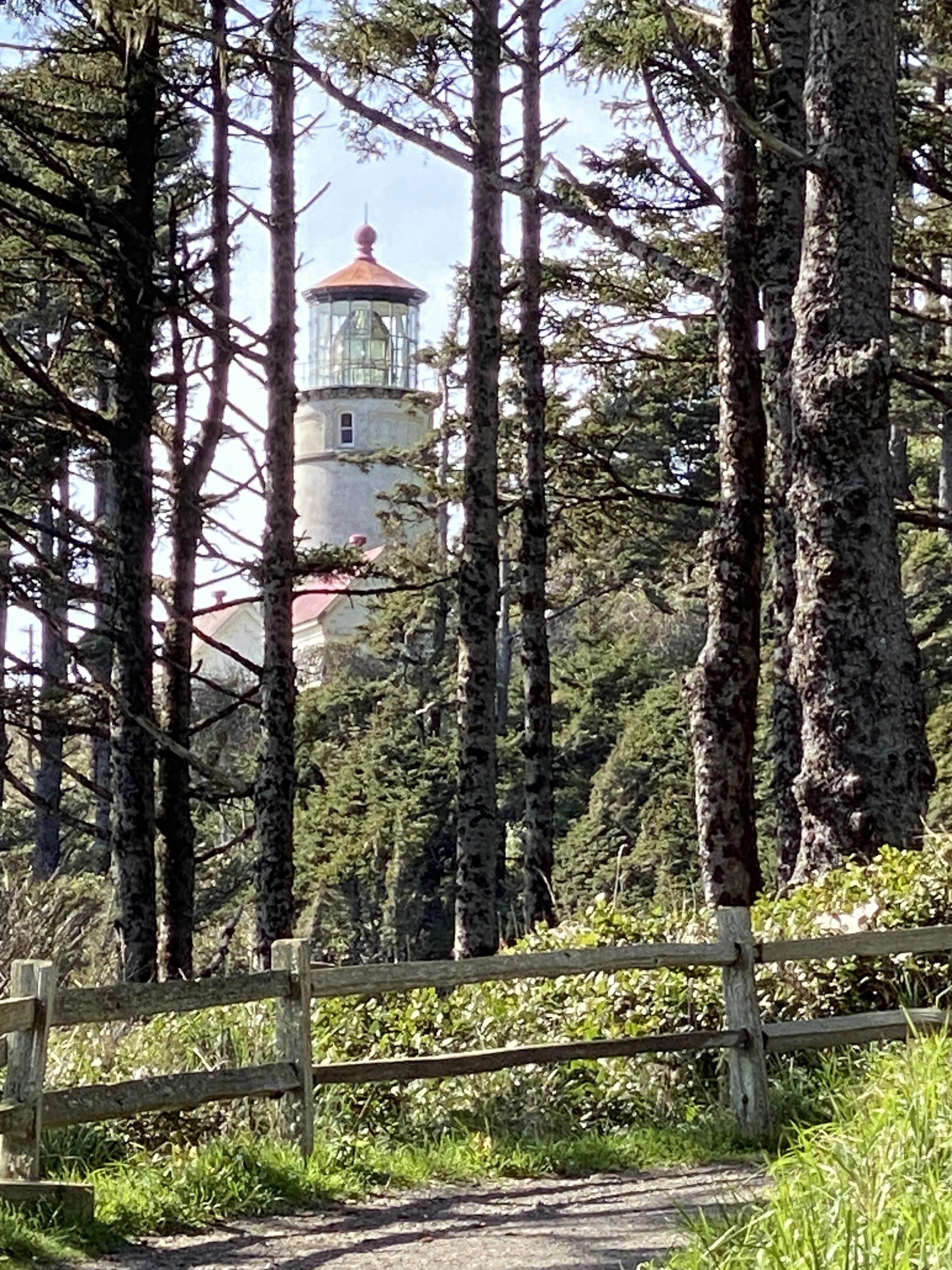 IMG_9030.JPG