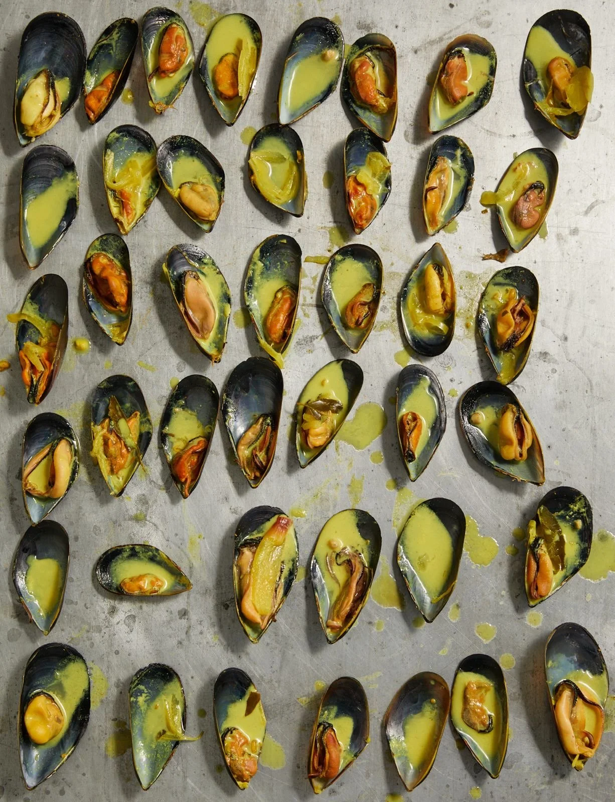 Hardie Grant publishing // photography Patricia Niven 