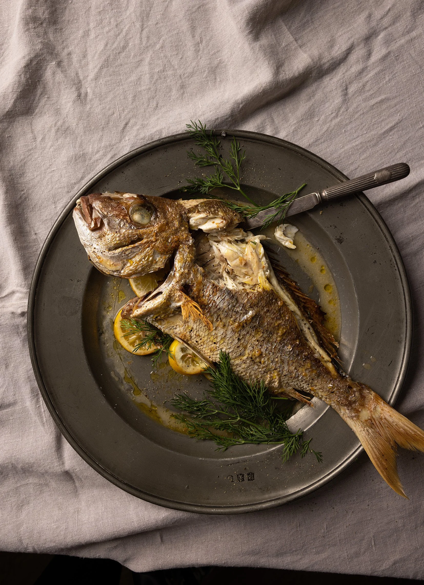 Allen & Unwin publishing // photography Therese Bourne