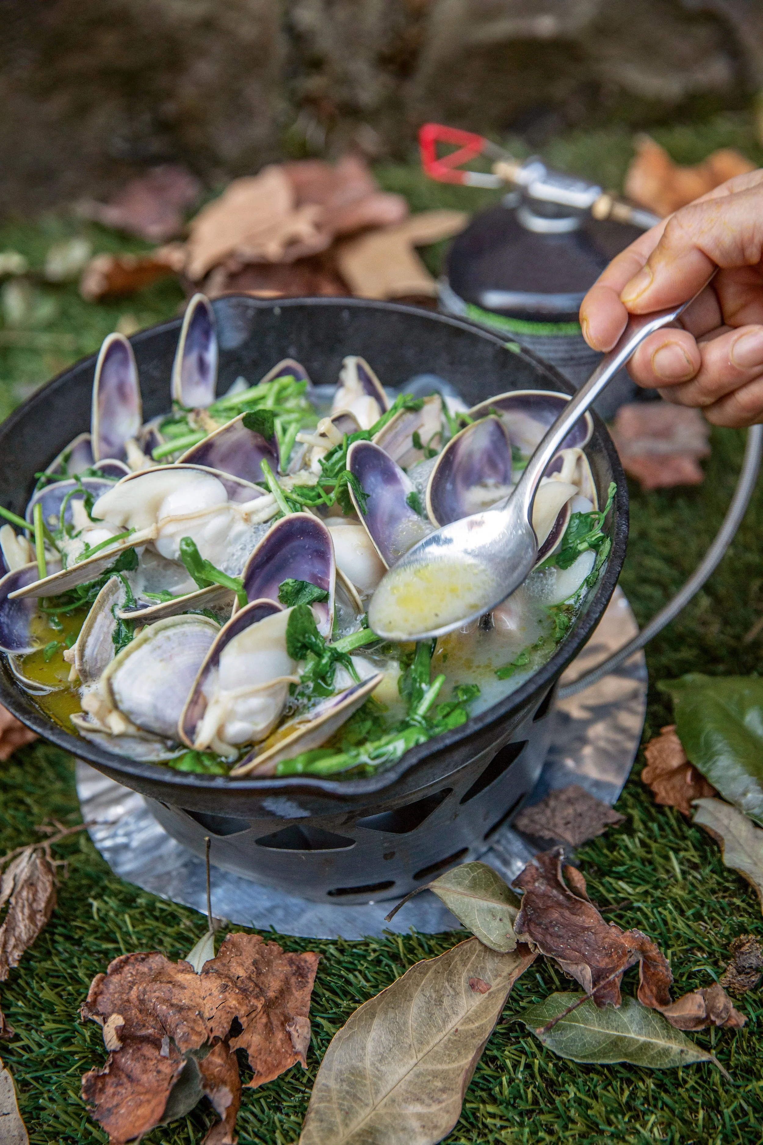 Murdoch publishing // photography Mark chew