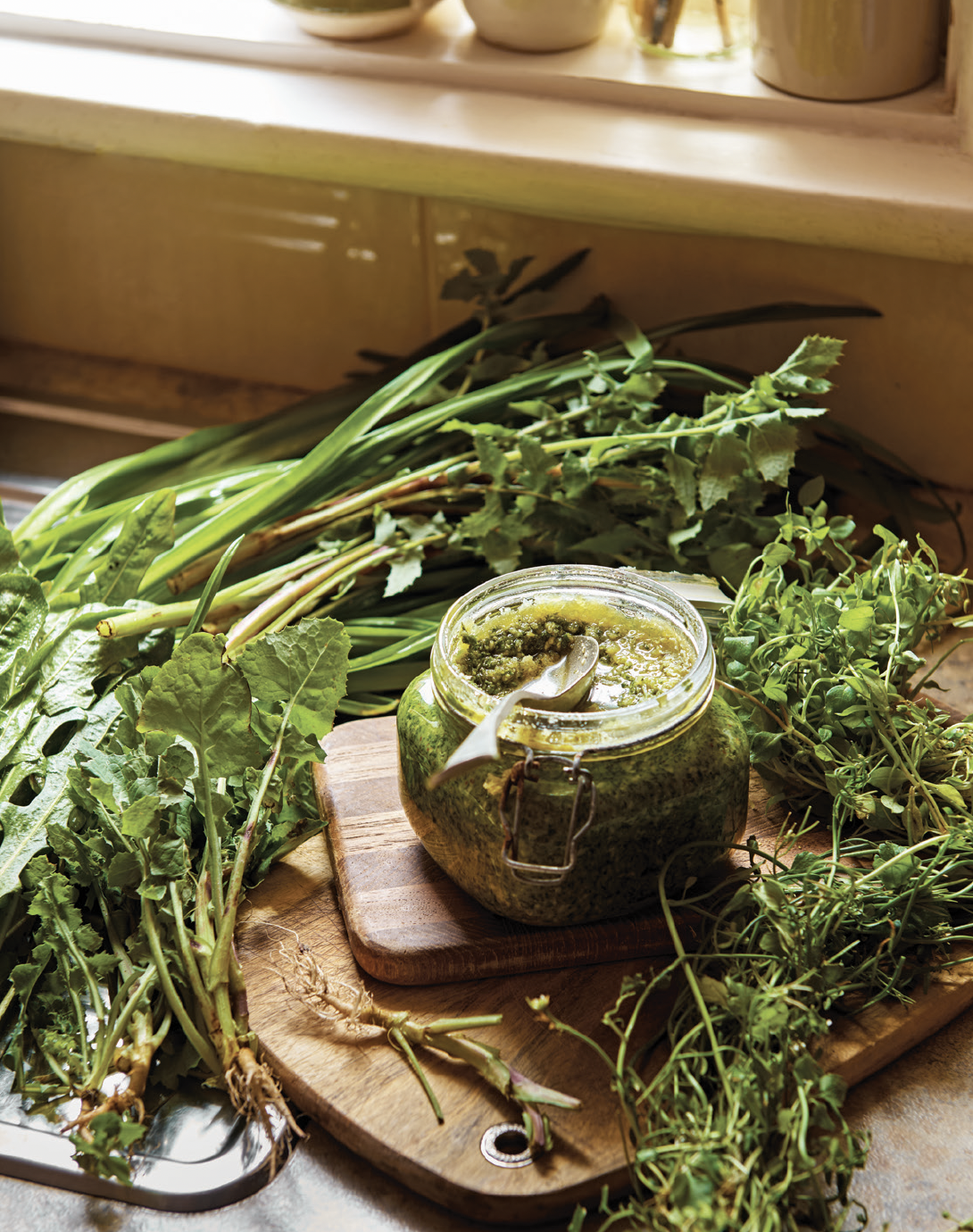 Hardie Grant publishing // photography Rochelle Eagle