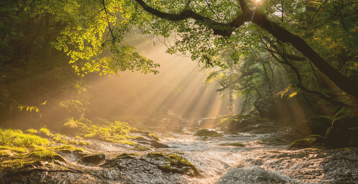 Managing Anxiety in Busy Lives: Finding Calm and Balance