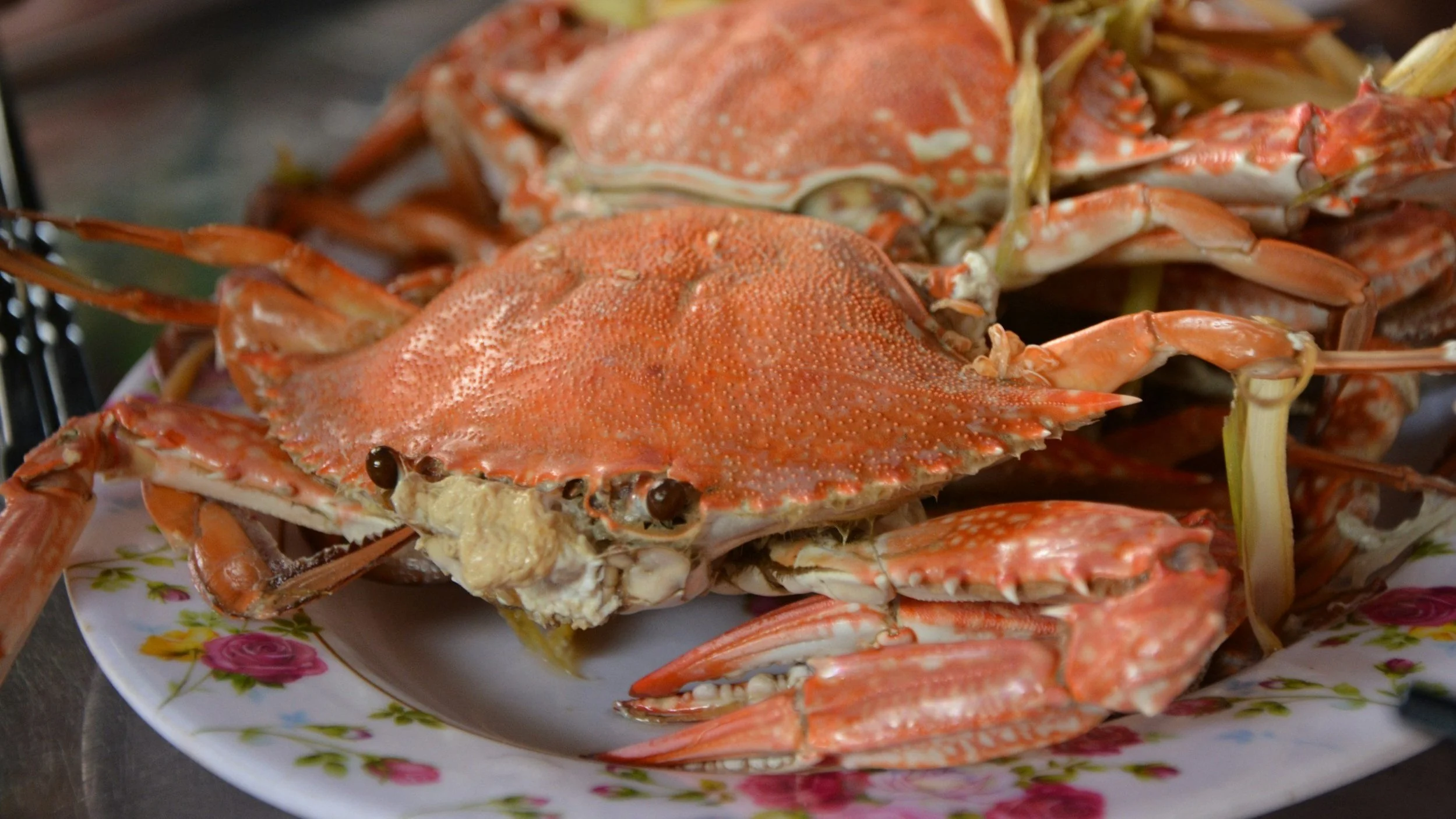 CRAB FEED: HOLD THE DATE