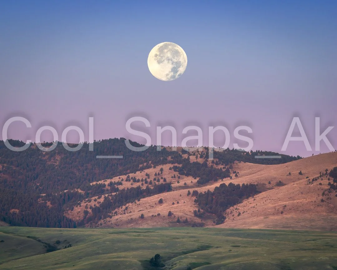 Montana Moon