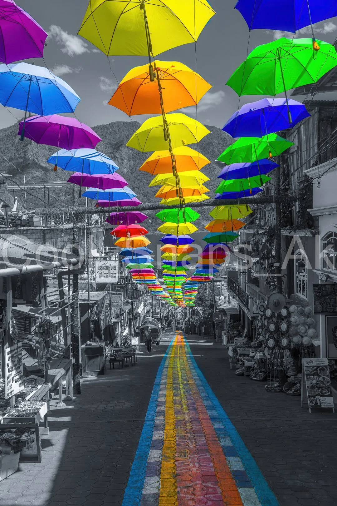 The Colorful Journey