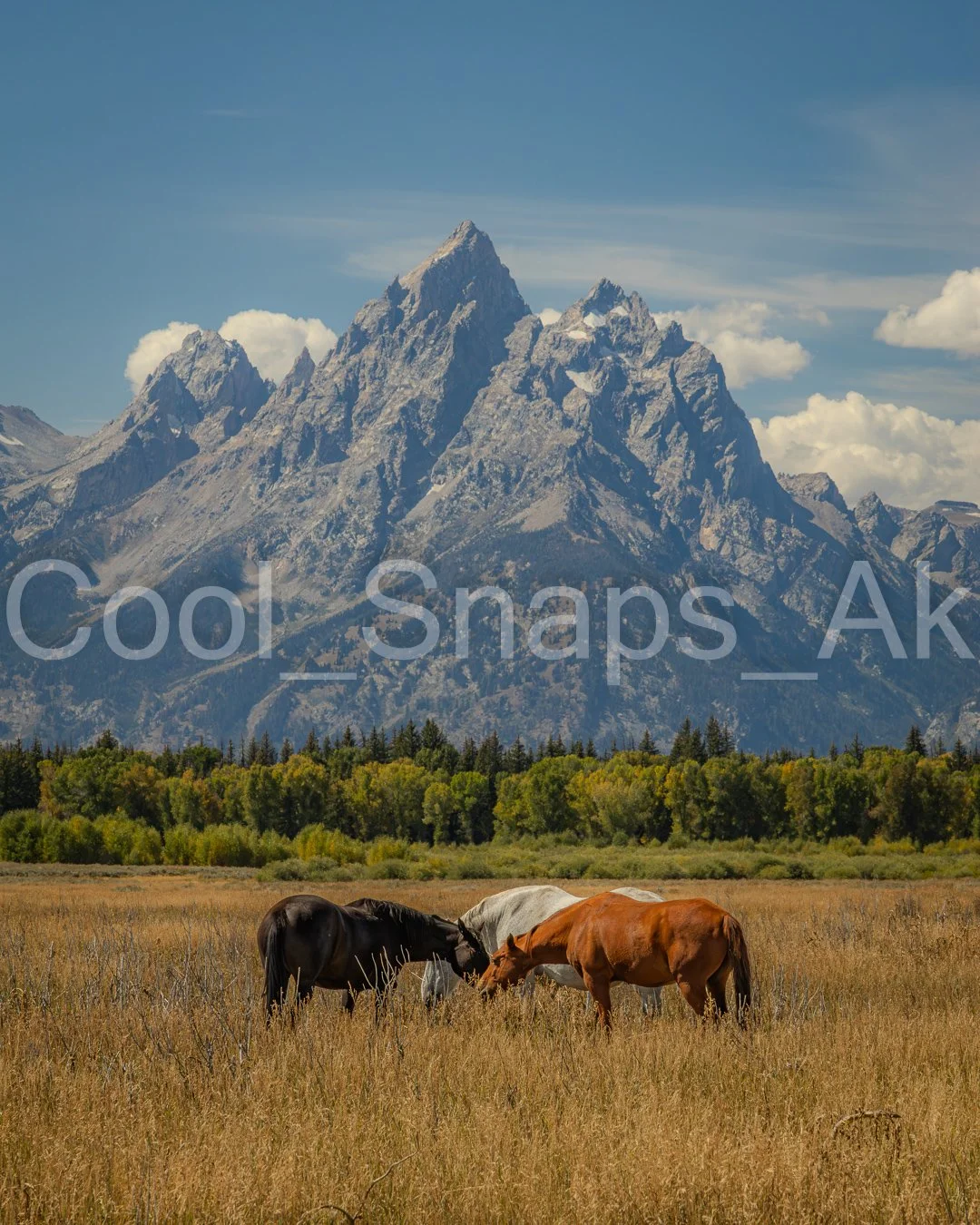 Grand Teton Frontier
