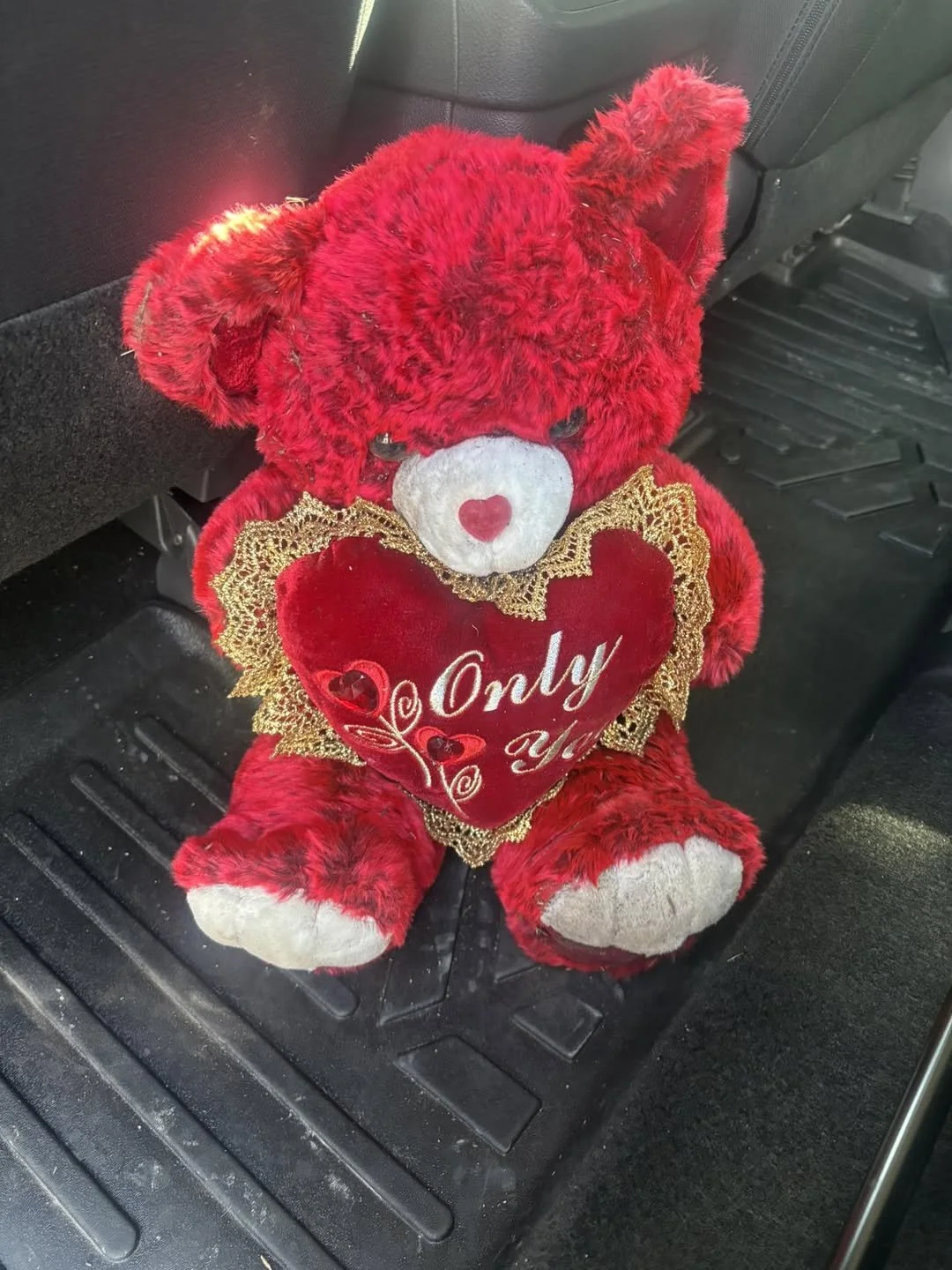 522149083_2475923426122307_7625358943339566182_n.jpeg