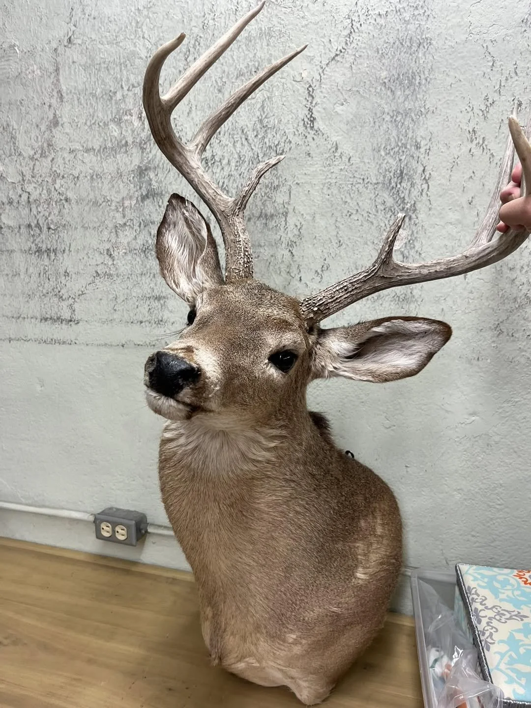 557614533_24537835485885767_2467593482546182372_n.jpeg