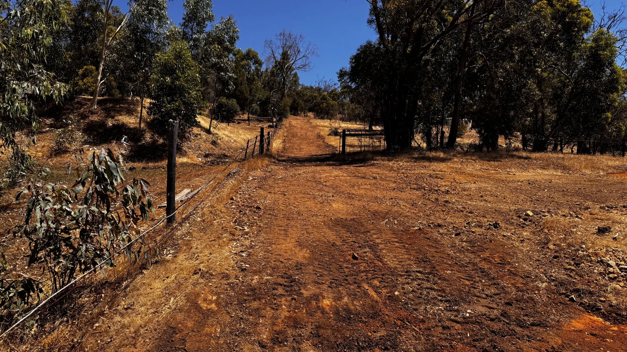 Dirt path running through a dry, grassy landscape with trees and a fence on either side, under a bright blue sky.