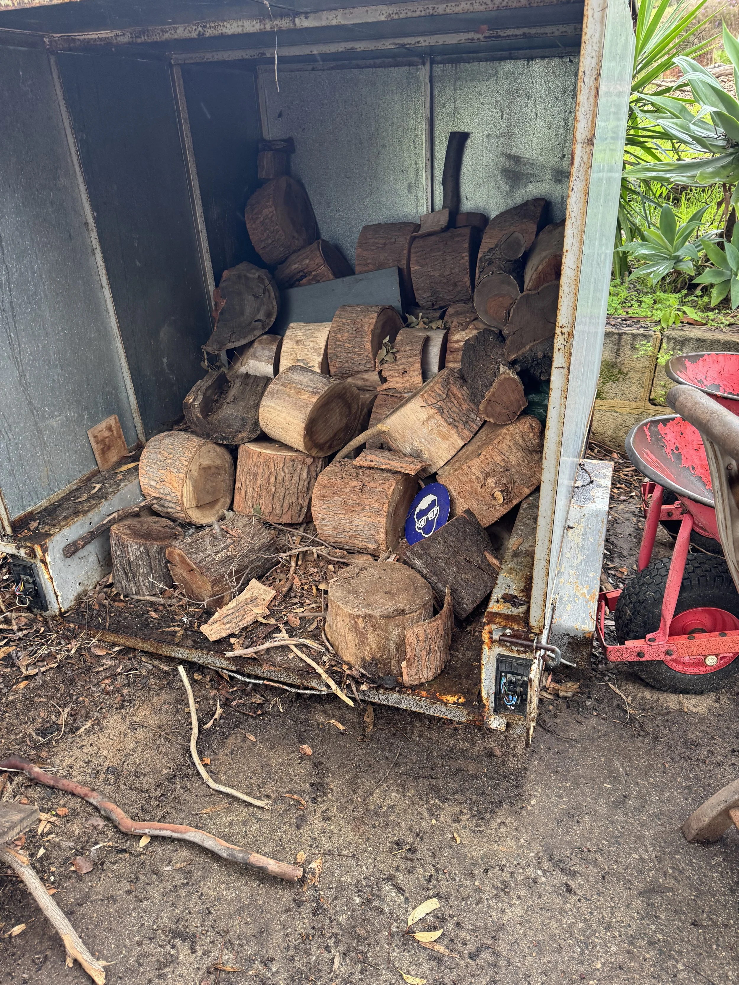Wood logs stored inside an old, rusty metal shed with some outdoor garden elements visible on the right.